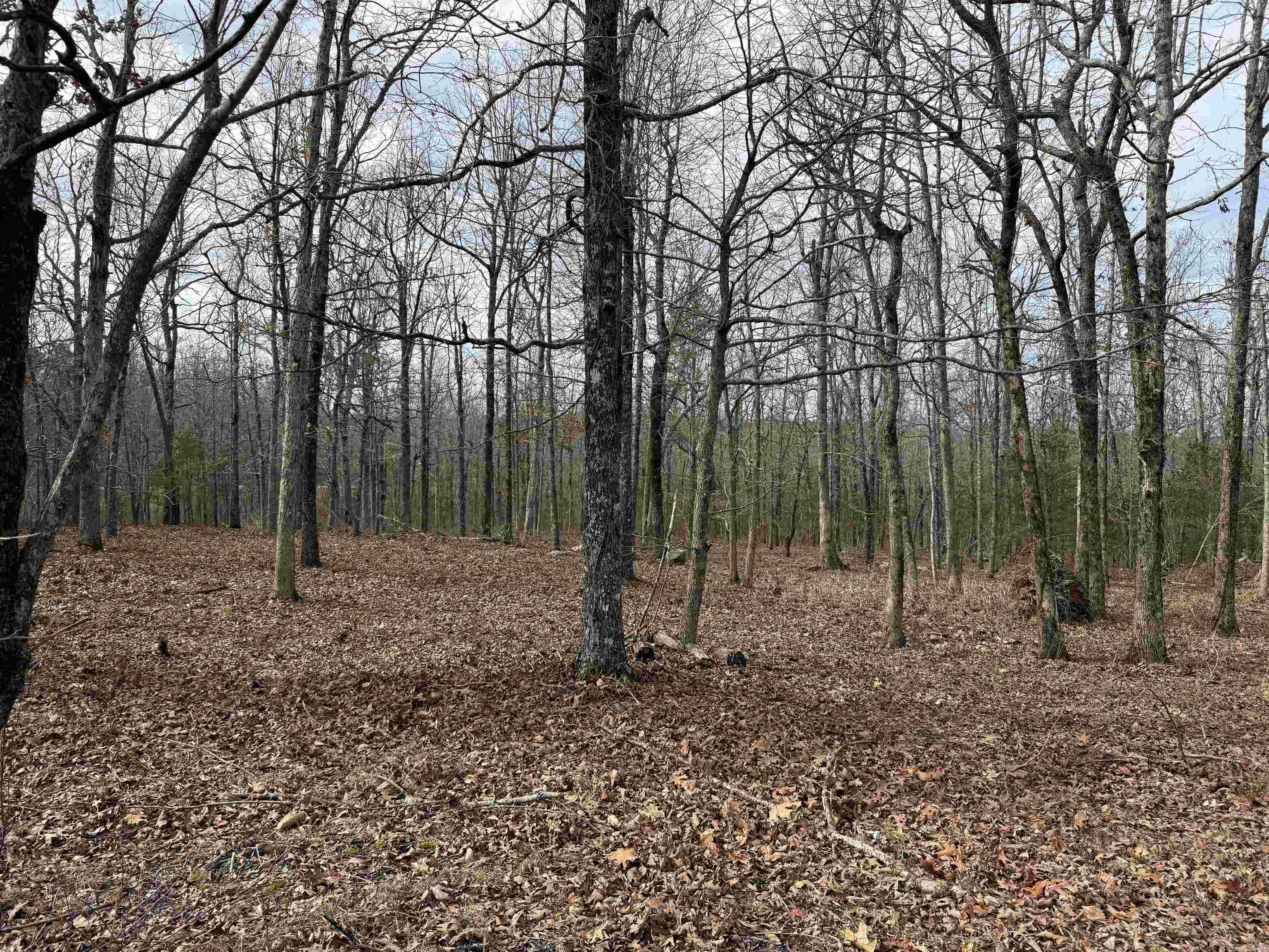 150 Blue Mountain  Alco, AR