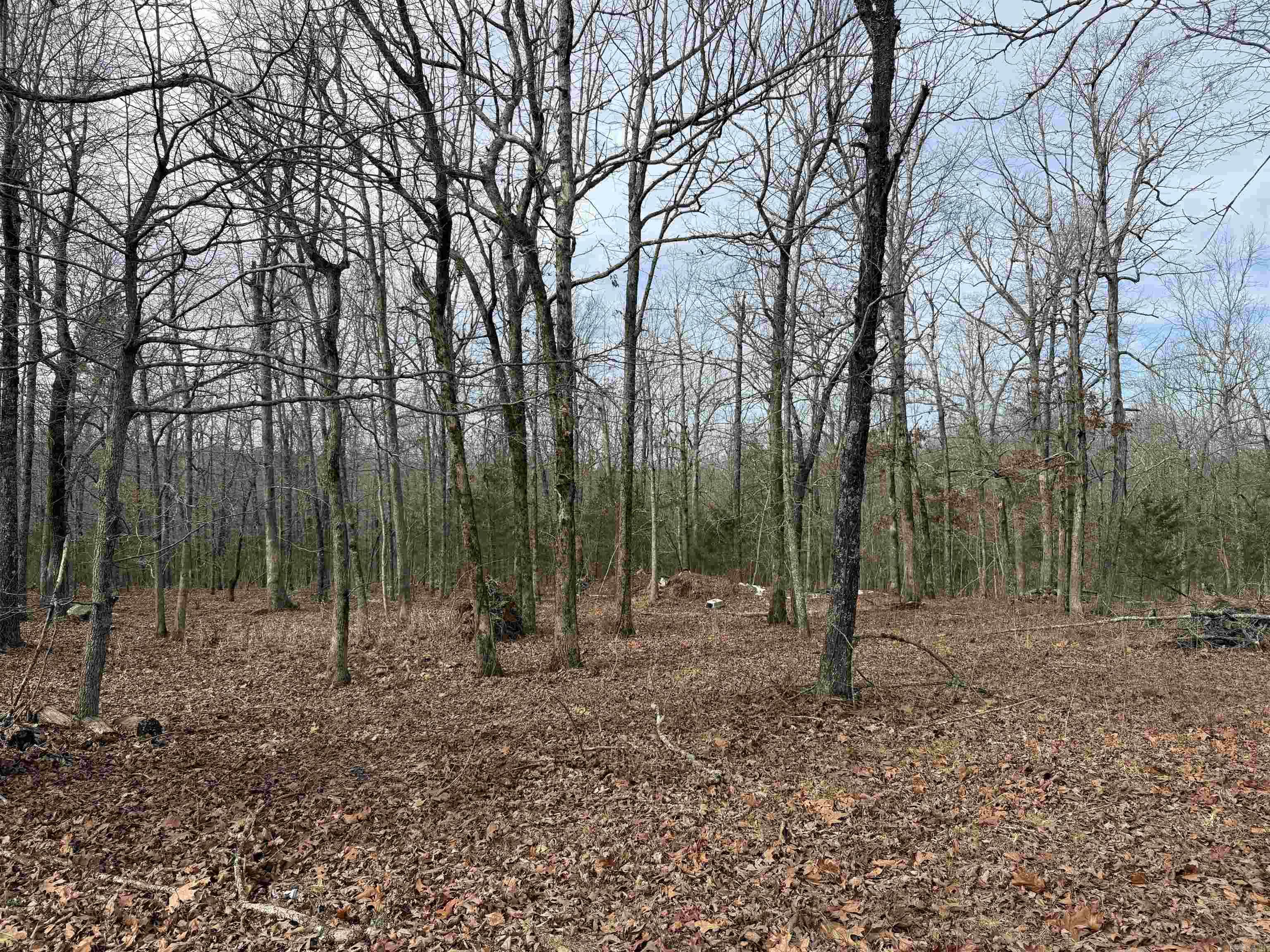 150 Blue Mountain  Alco, AR