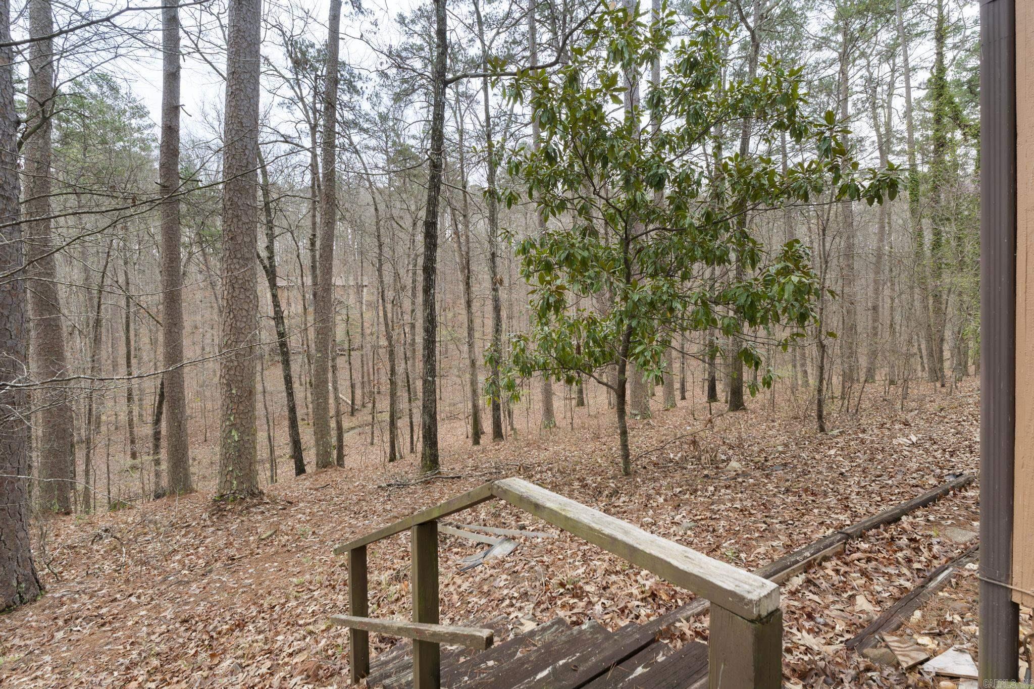 17 Badalona  Hot Springs, AR