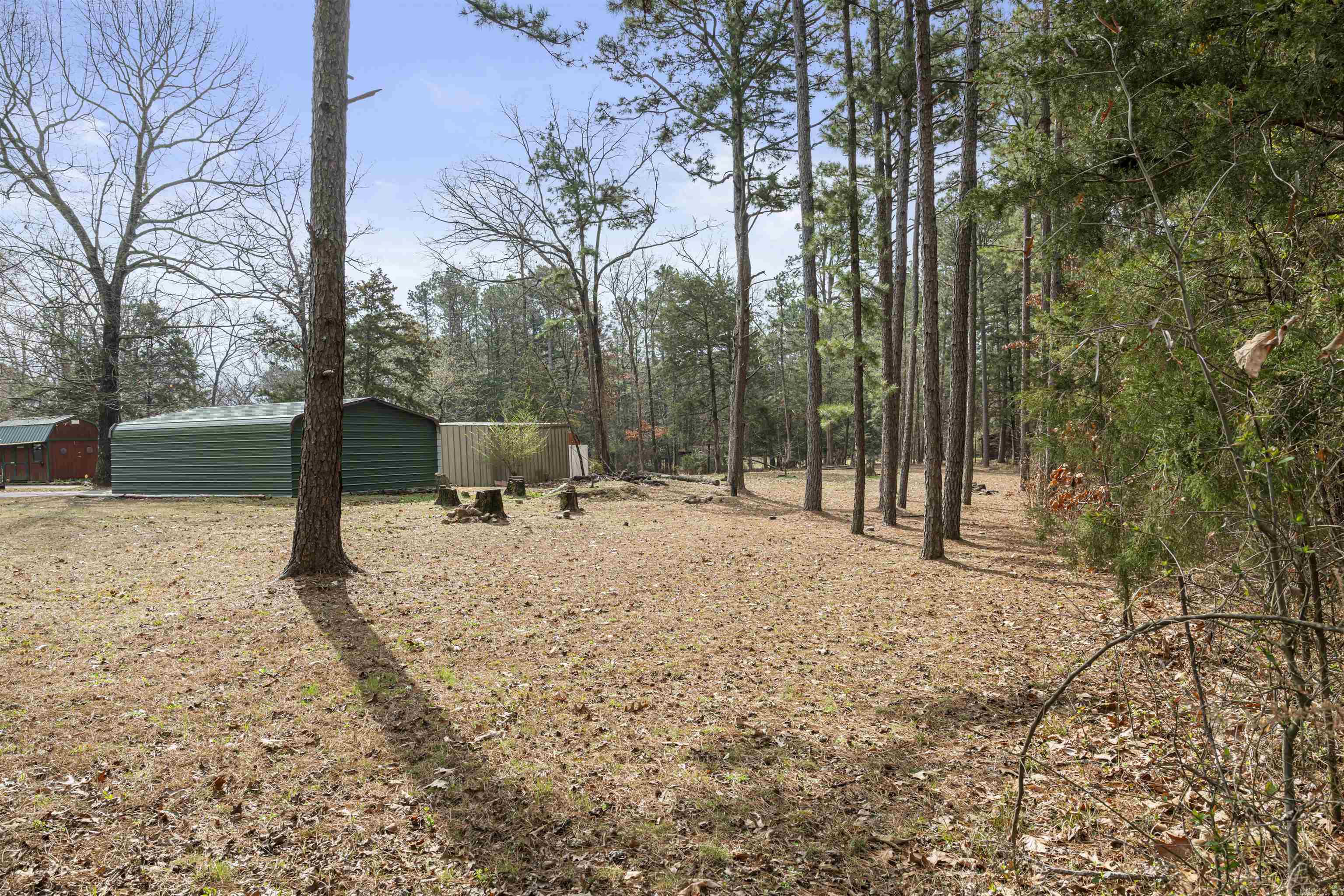 160 Harpers Cove Rd  Shirley, AR