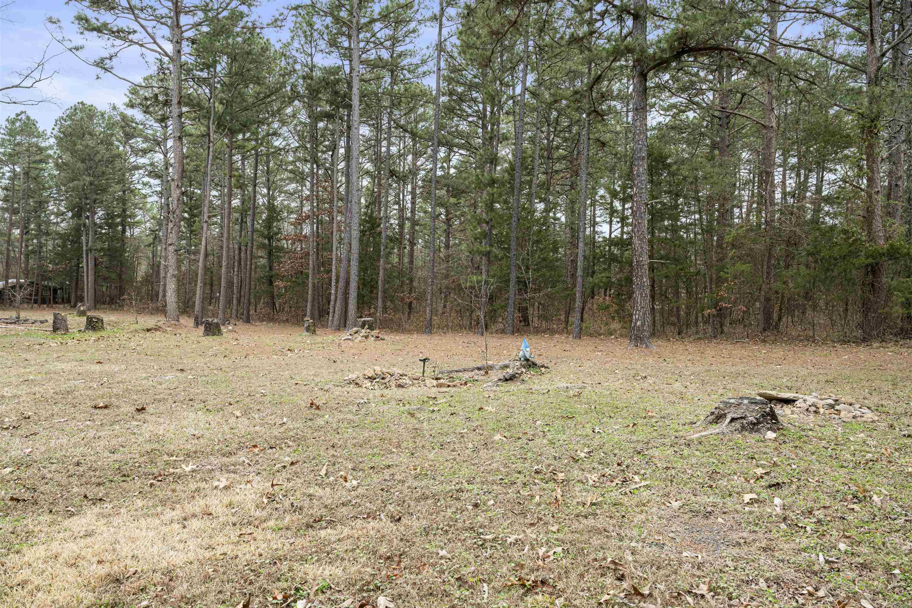 160 Harpers Cove Rd  Shirley, AR