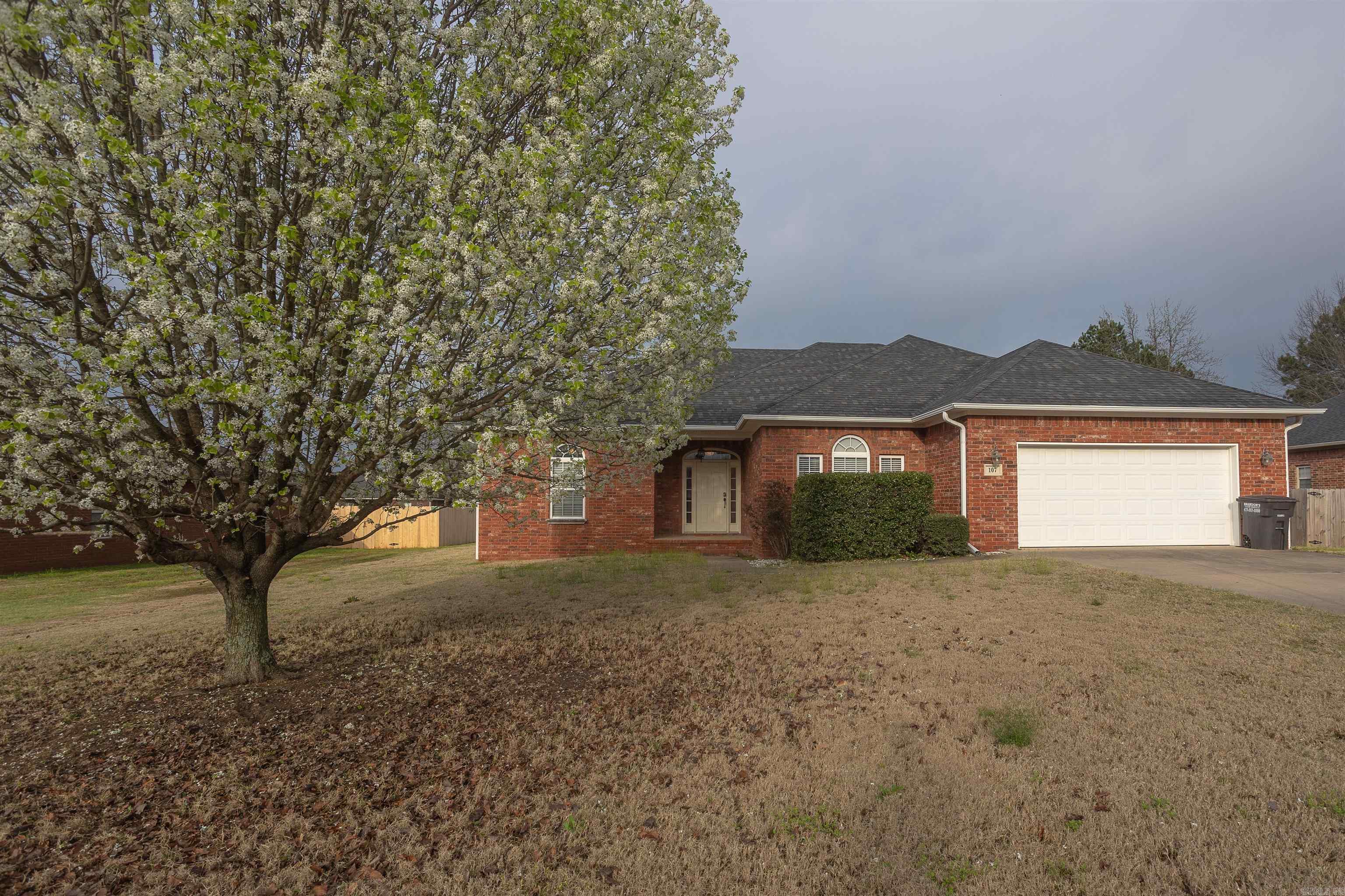 107 Salmon  Russellville, AR