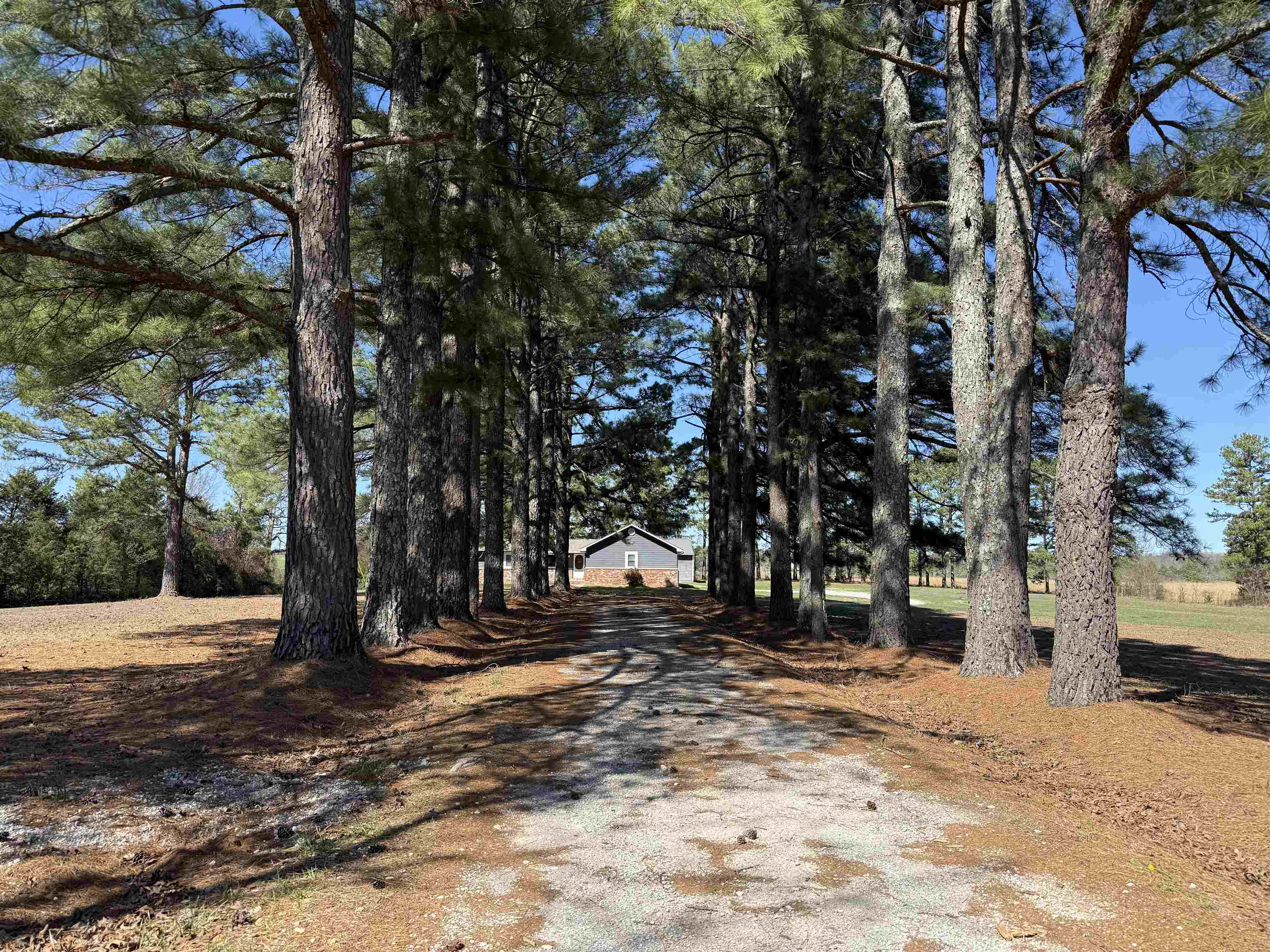 2373 West Road  Mount Pleasant, AR