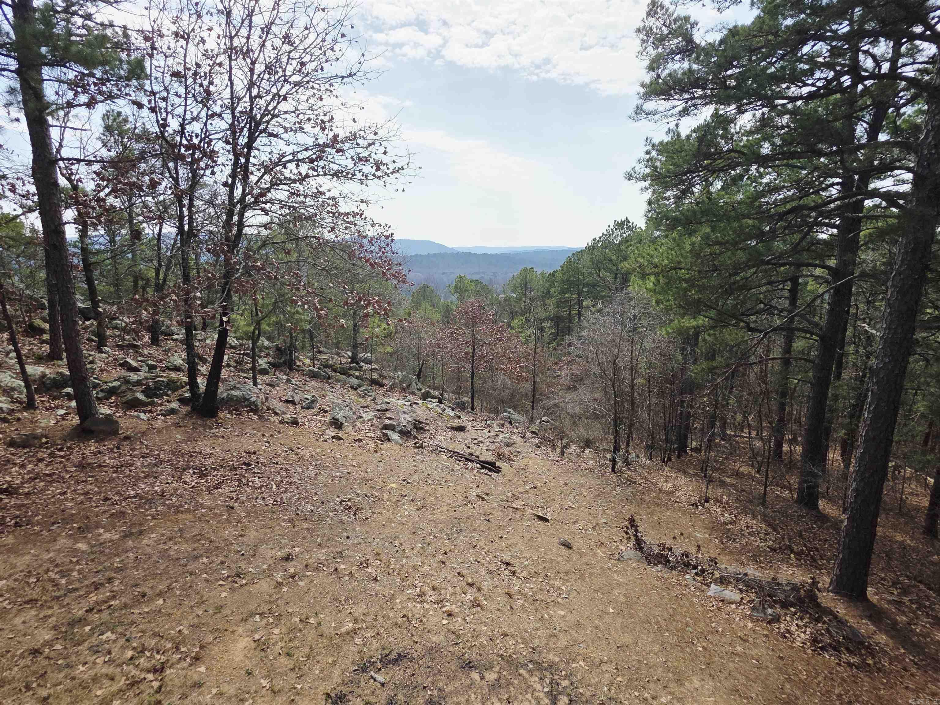 21219 Unicorn  Roland, AR