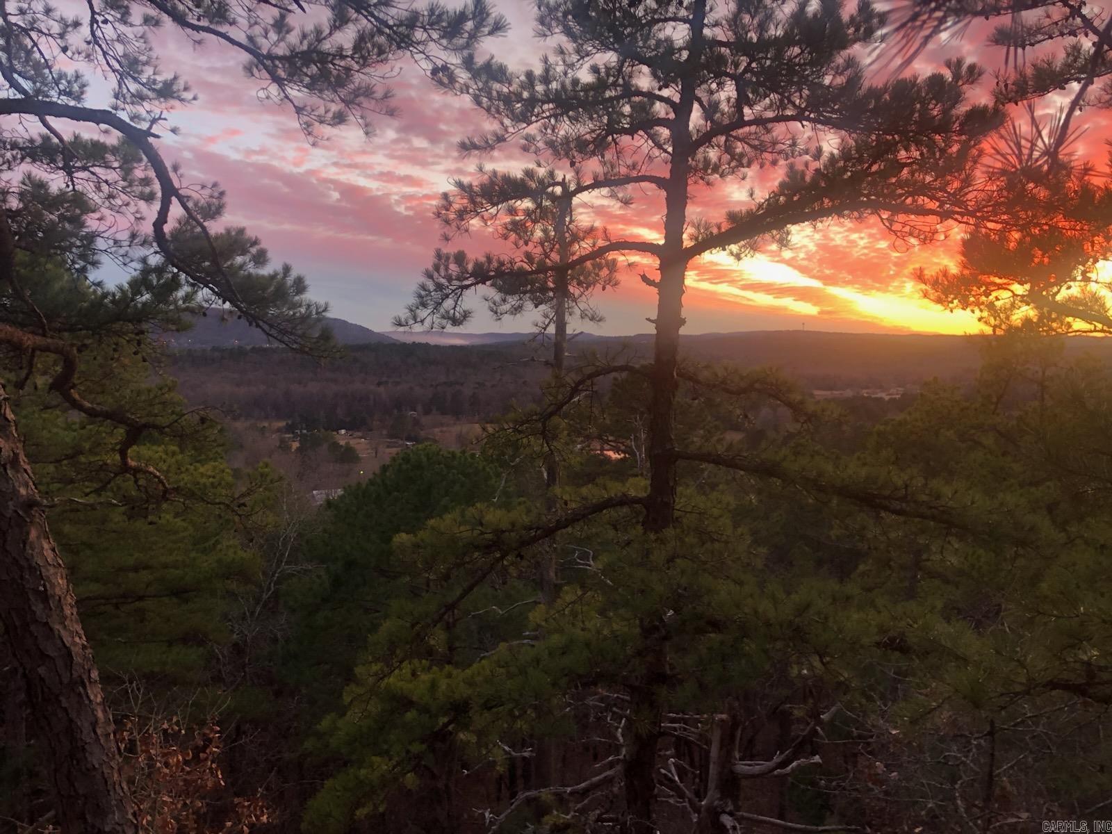 21219 Unicorn  Roland, AR