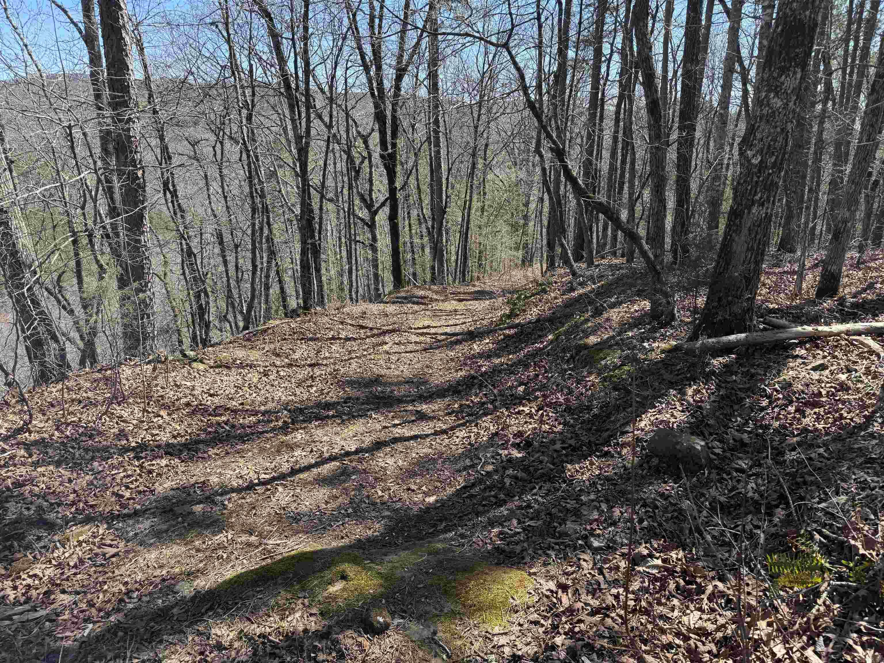 5210 Oyler Rd.  Clinton, AR