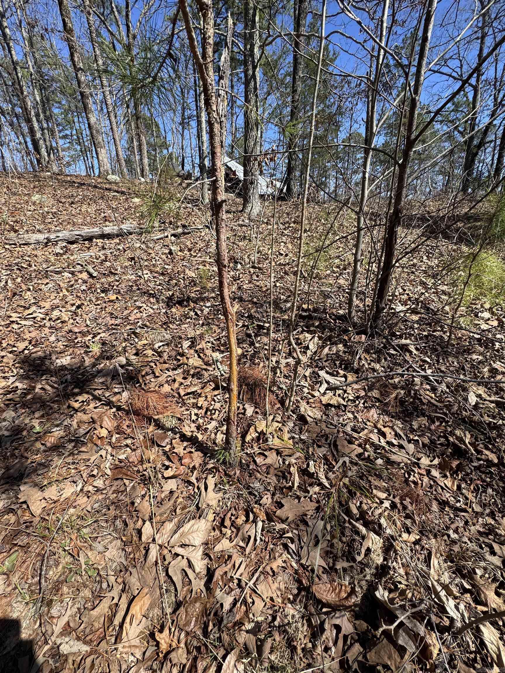 5210 Oyler Rd.  Clinton, AR