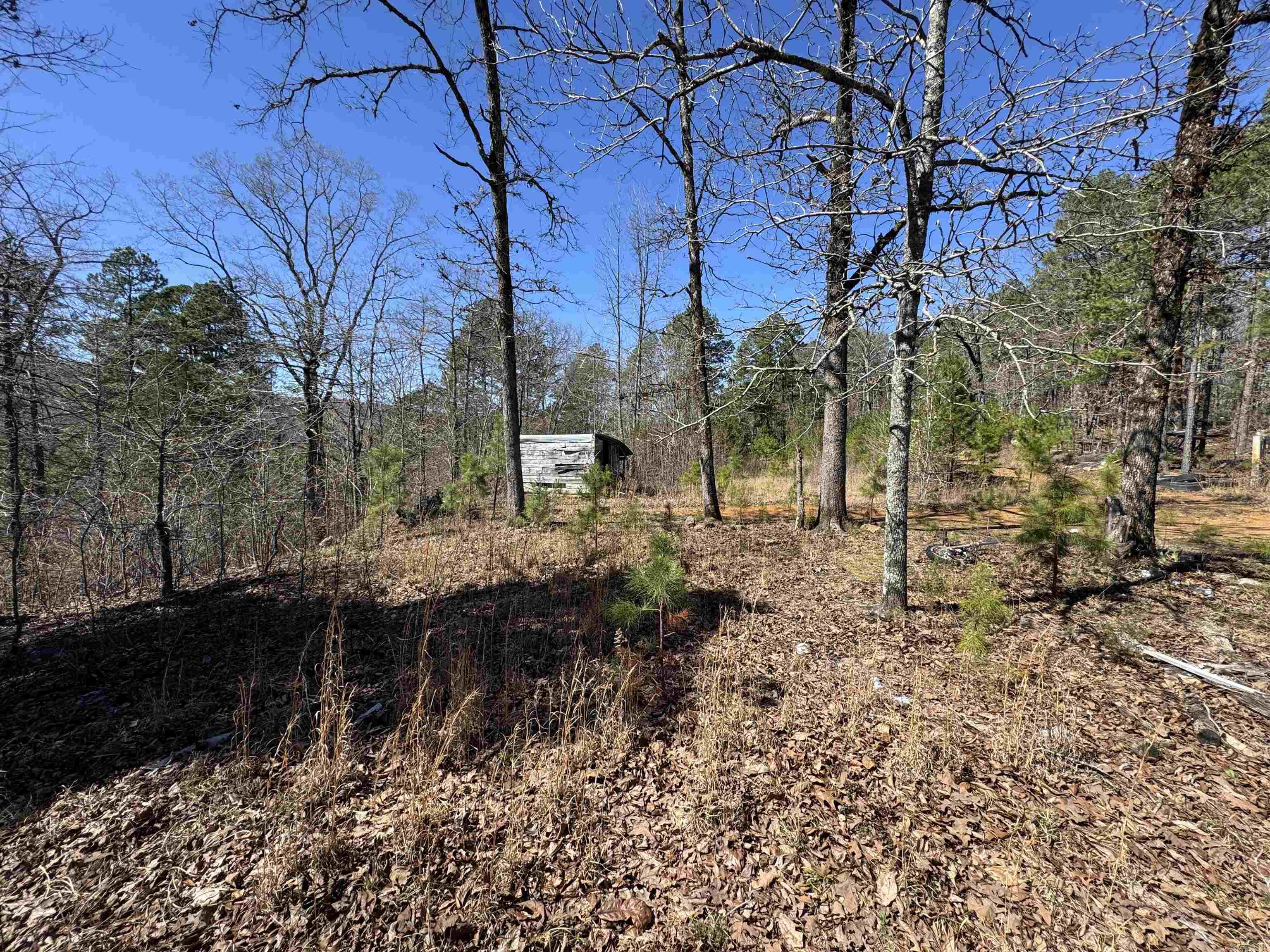 5210 Oyler Rd.  Clinton, AR