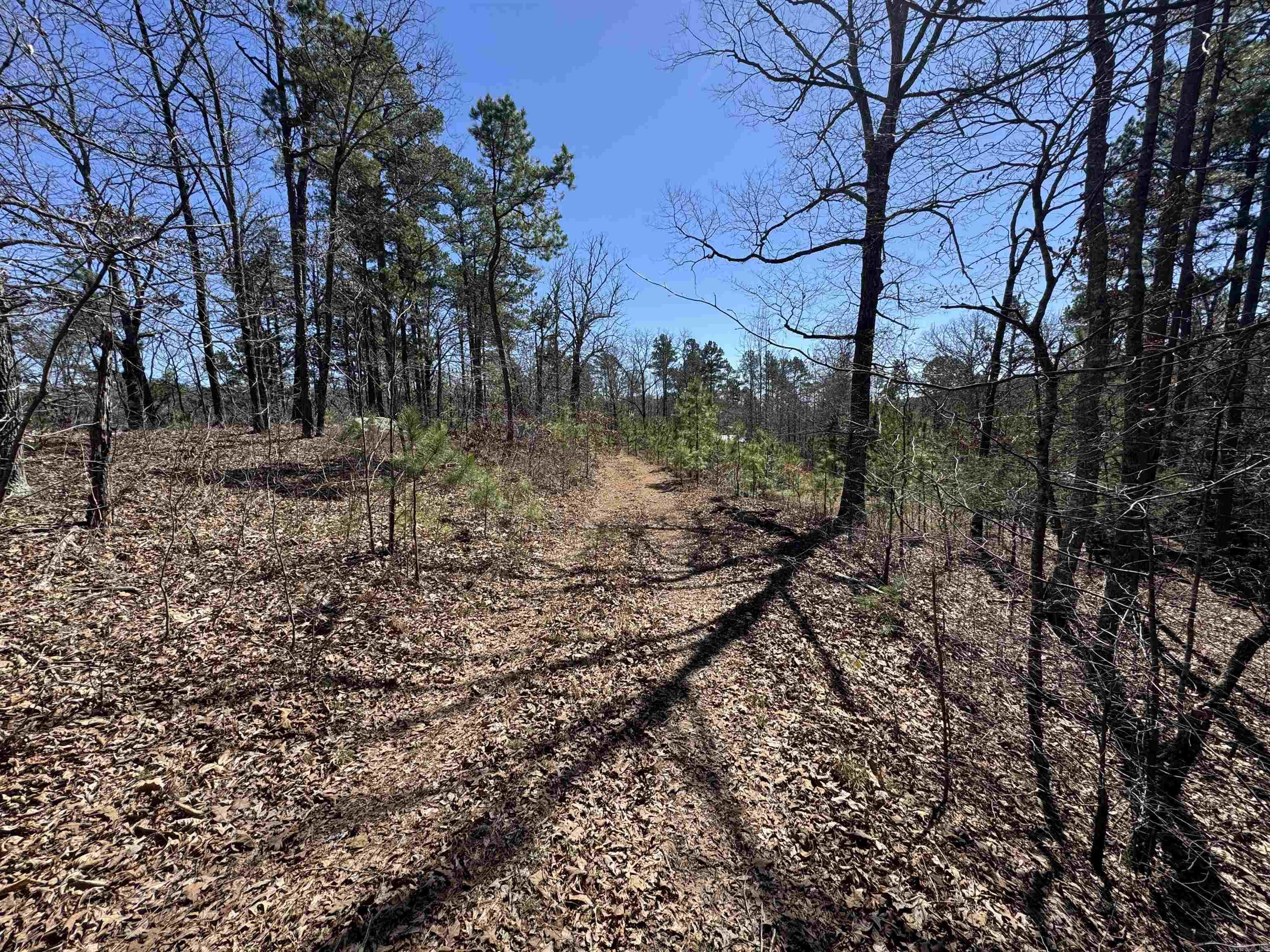 5210 Oyler Rd.  Clinton, AR