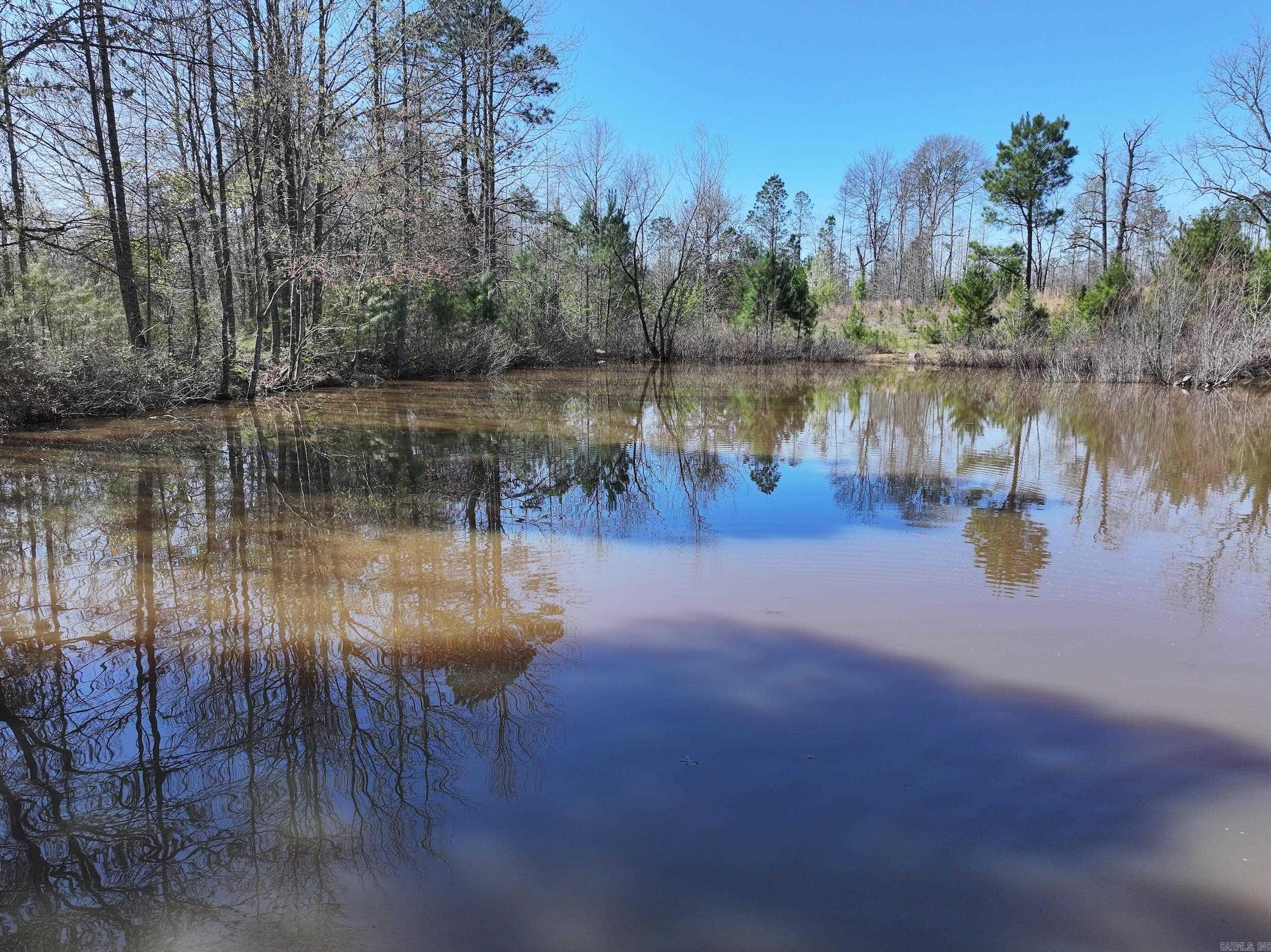 761 Richardson  Amity, AR