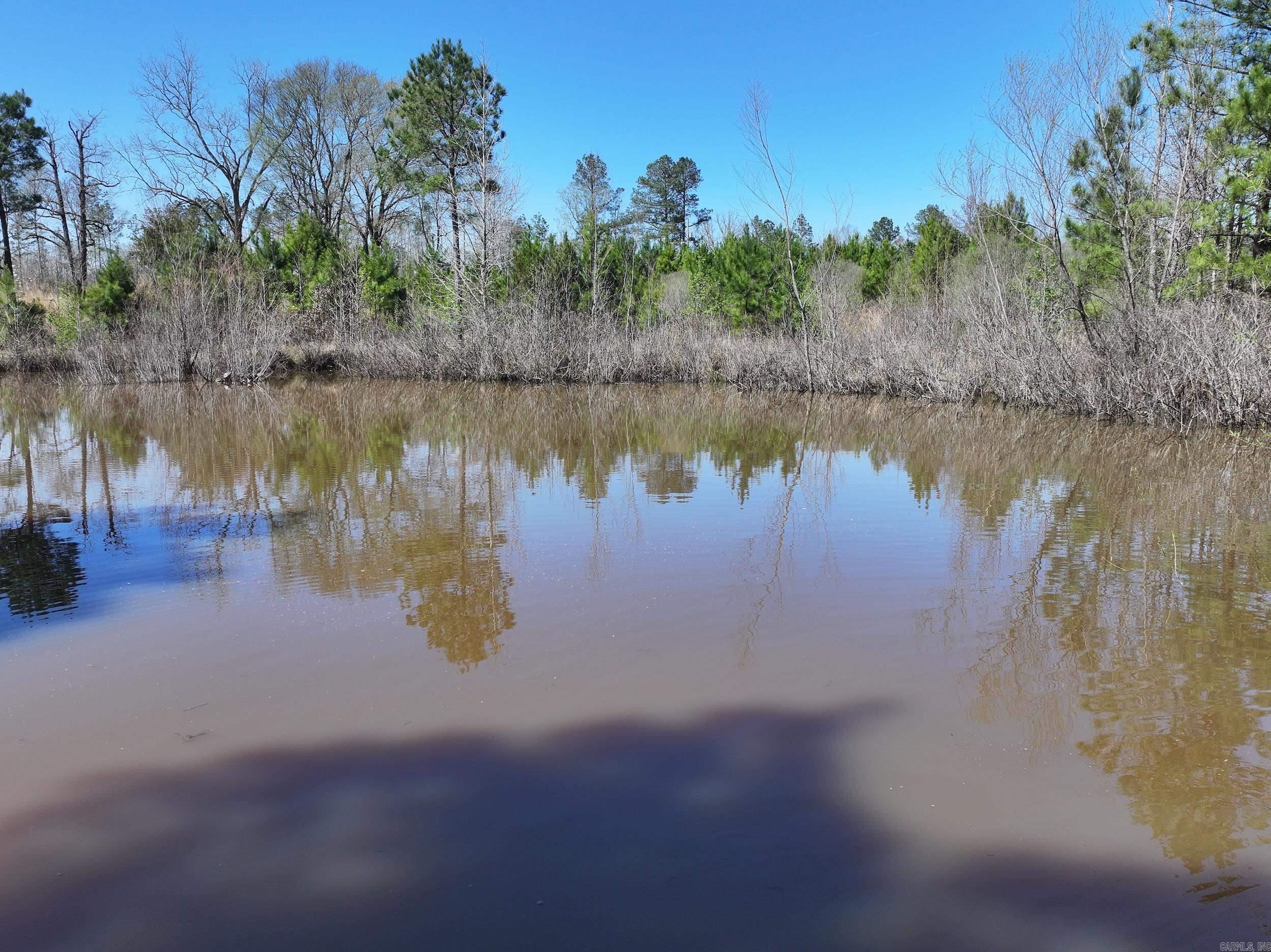 761 Richardson  Amity, AR