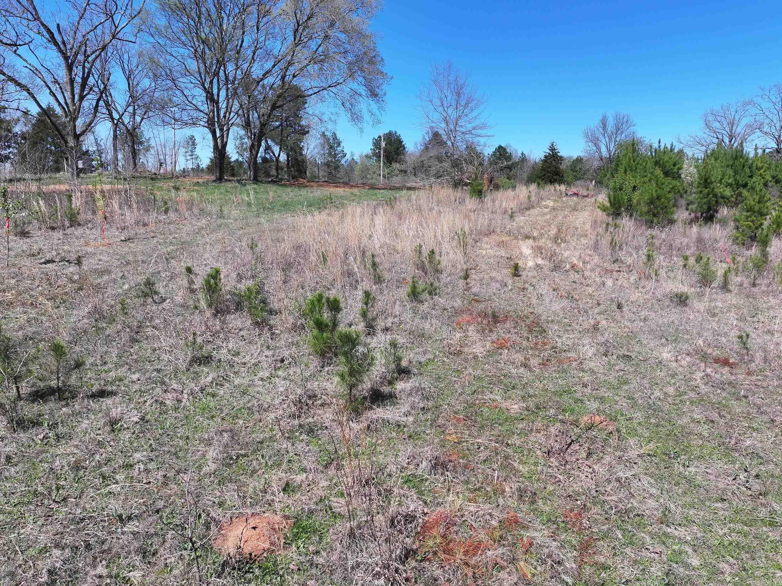 761 Richardson  Amity, AR