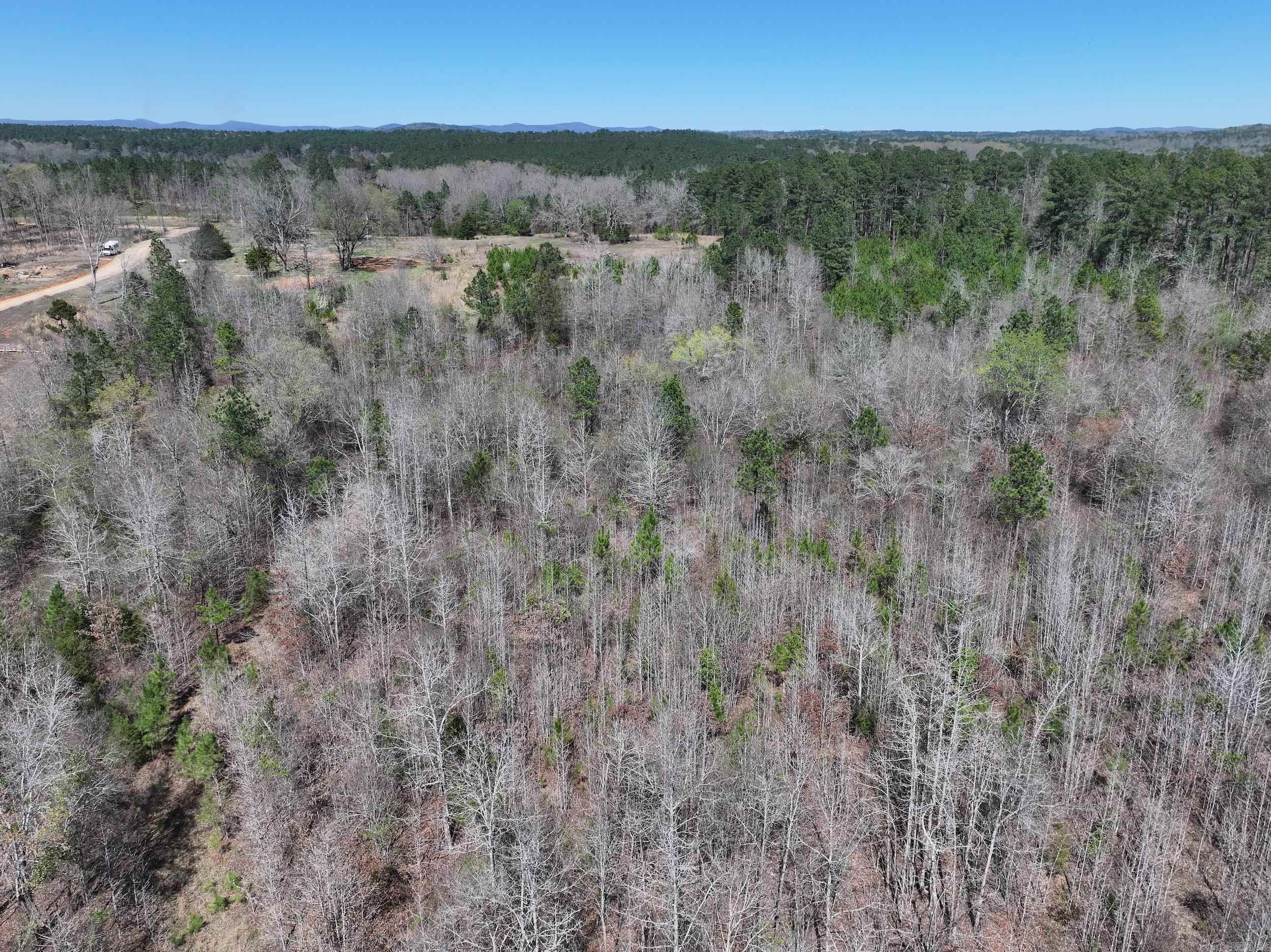 761 Richardson  Amity, AR