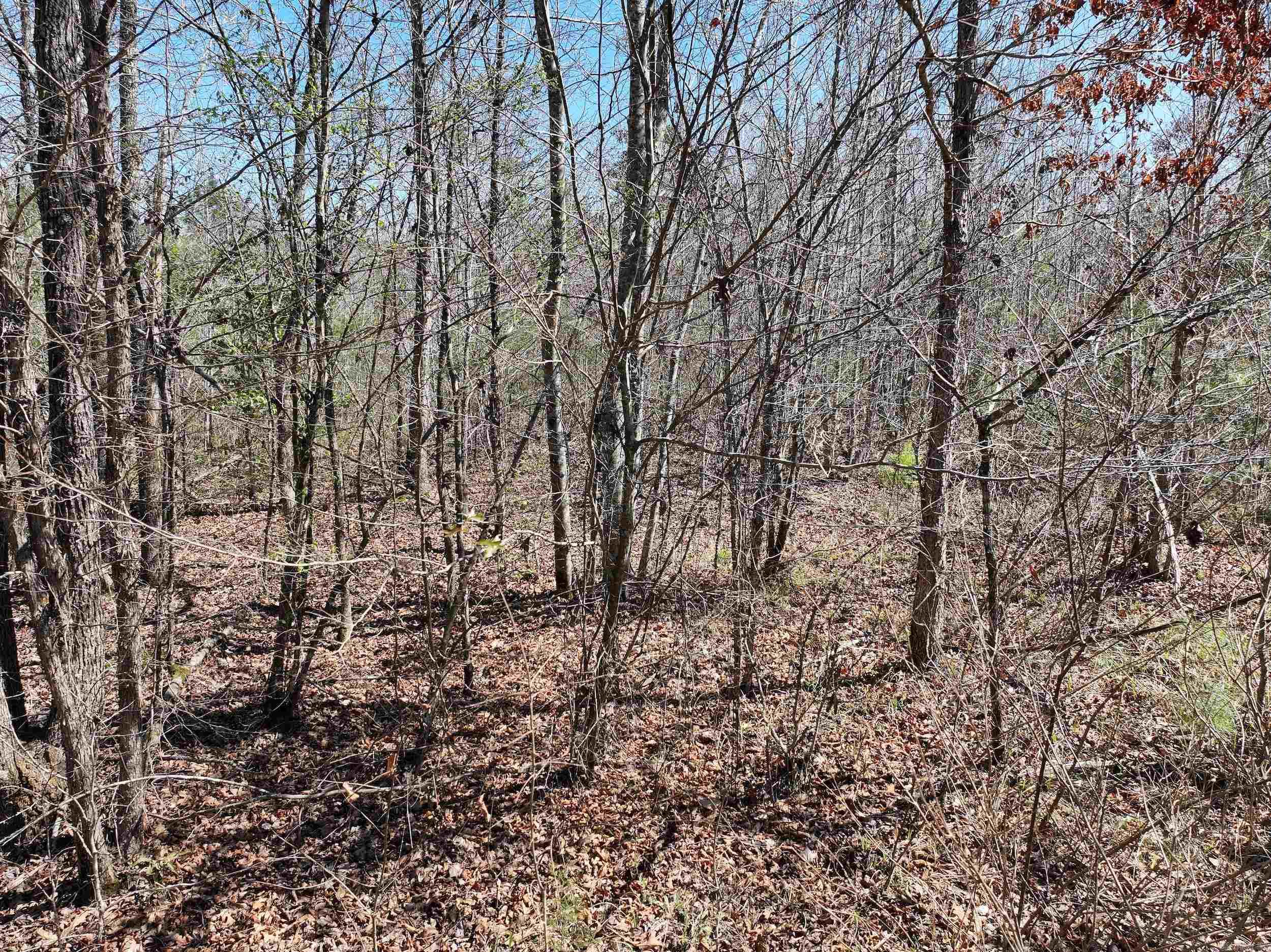 761 Richardson  Amity, AR