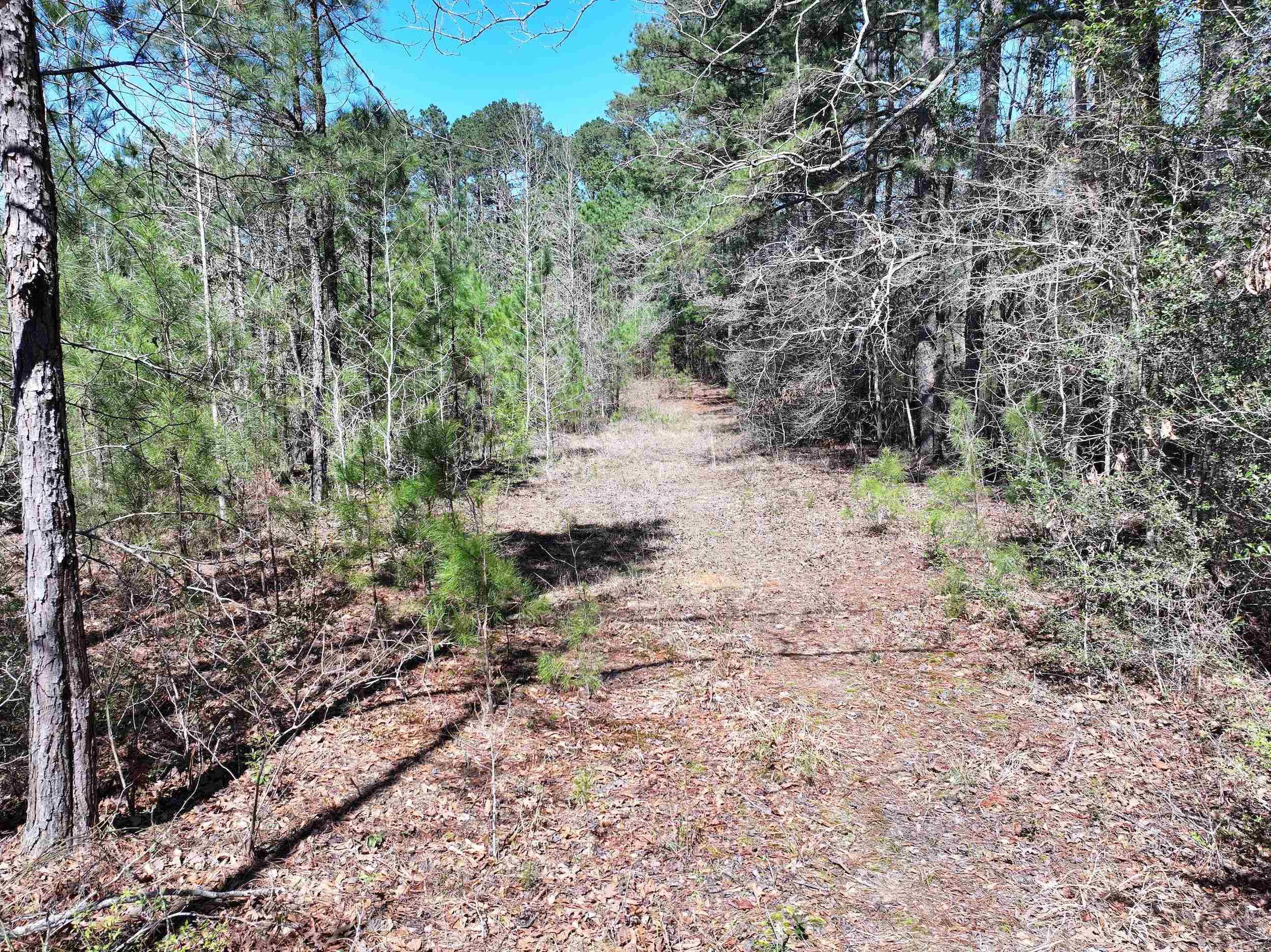 761 Richardson  Amity, AR