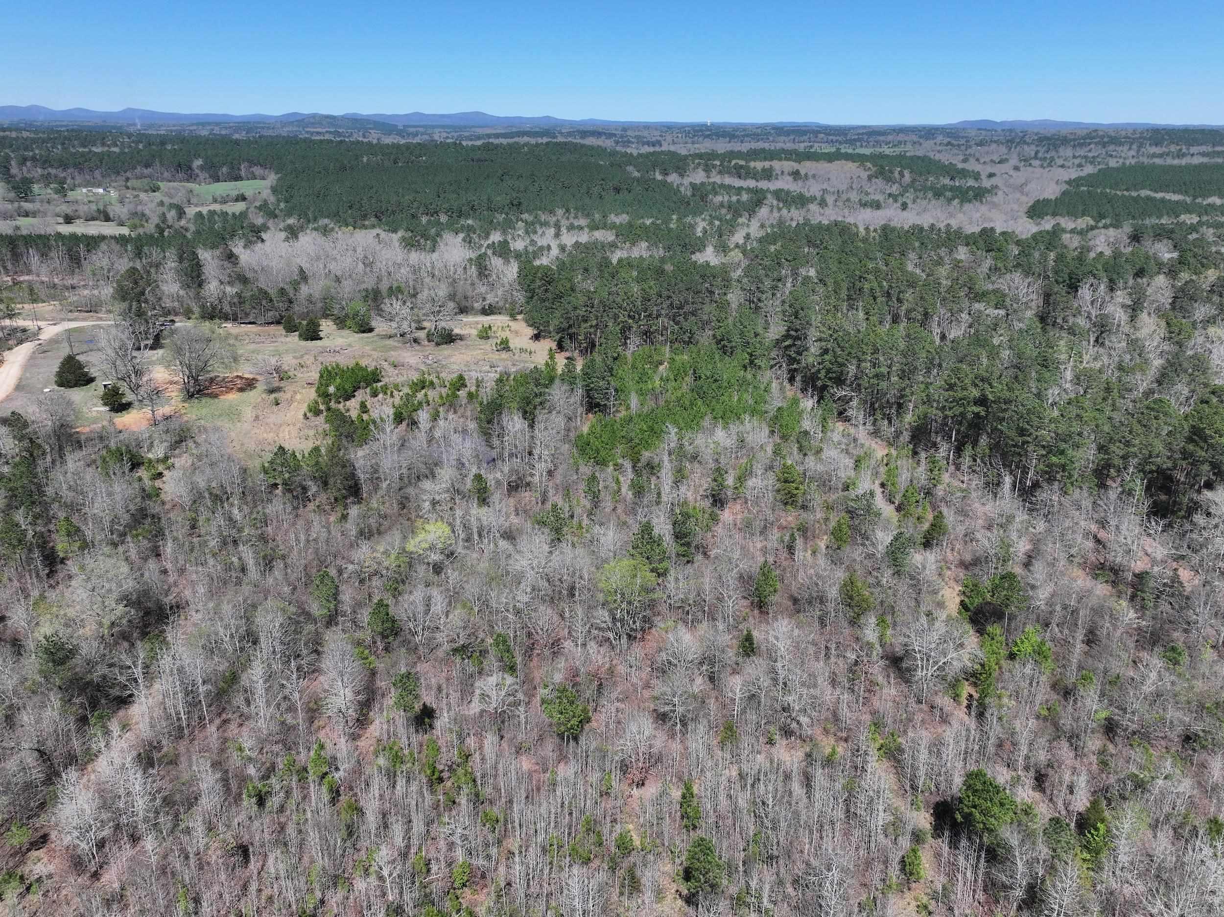 761 Richardson  Amity, AR