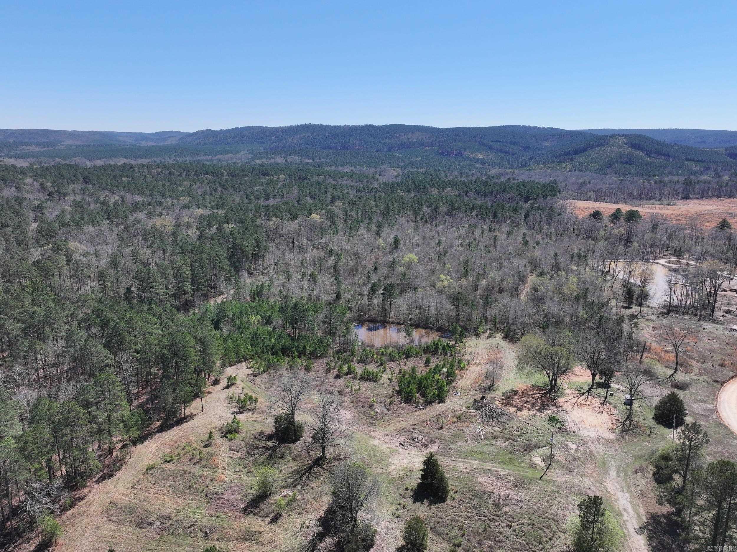 761 Richardson  Amity, AR