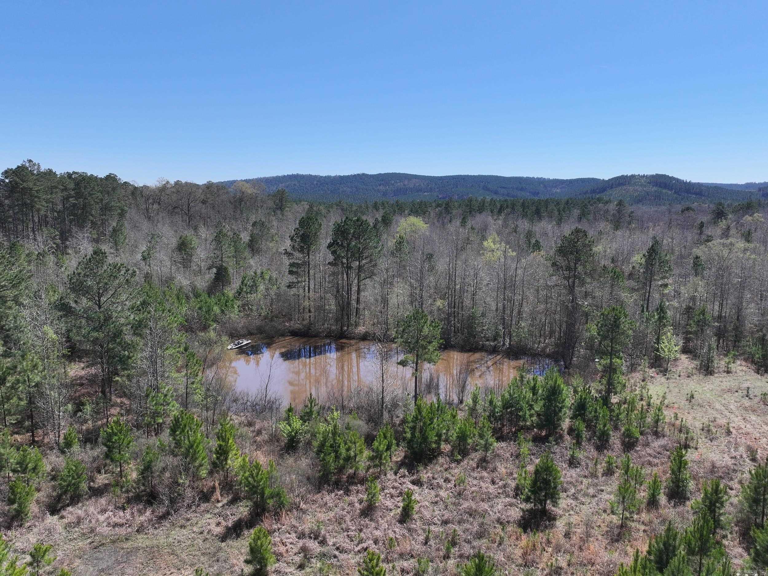 761 Richardson  Amity, AR