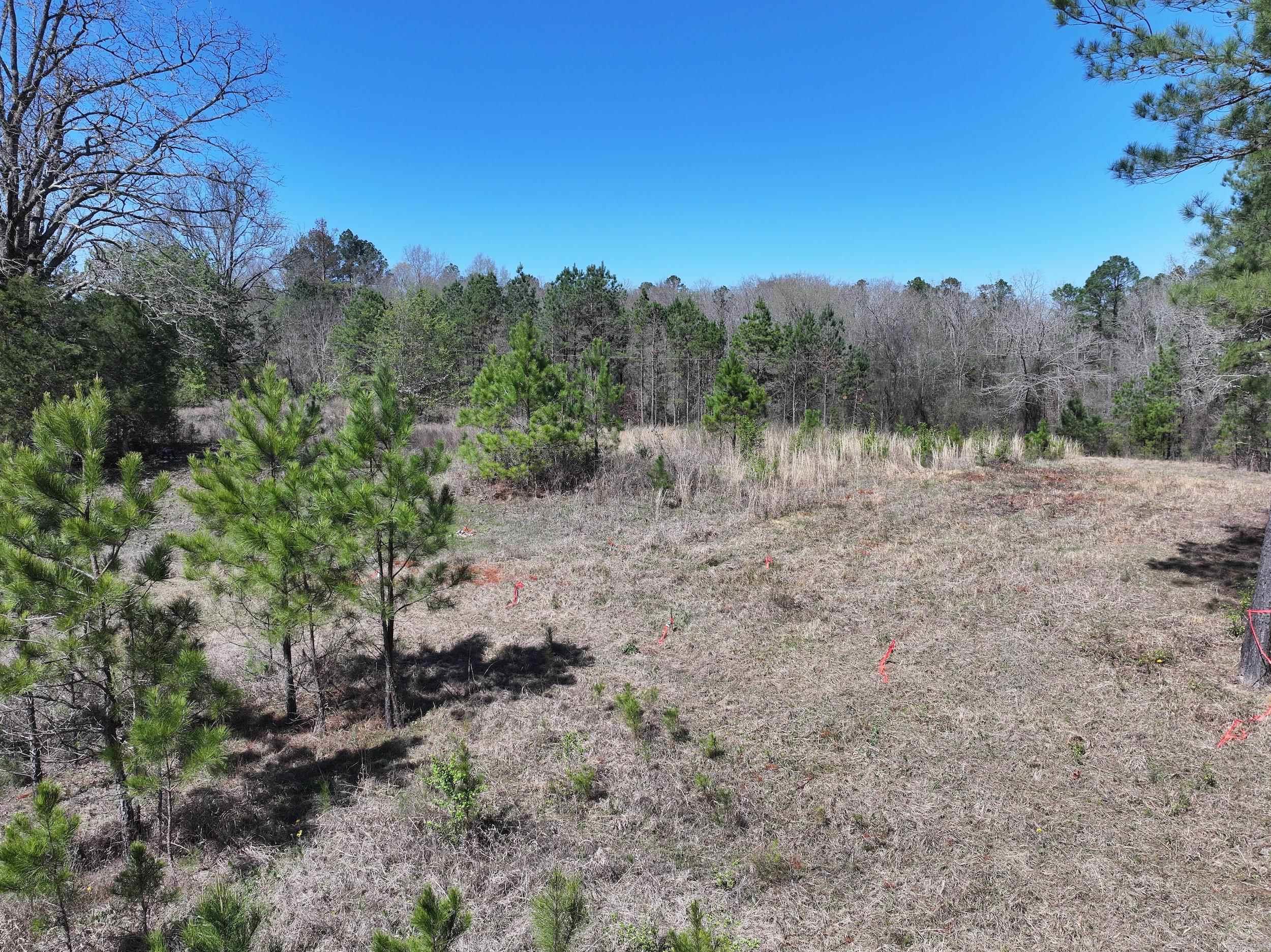 761 Richardson  Amity, AR