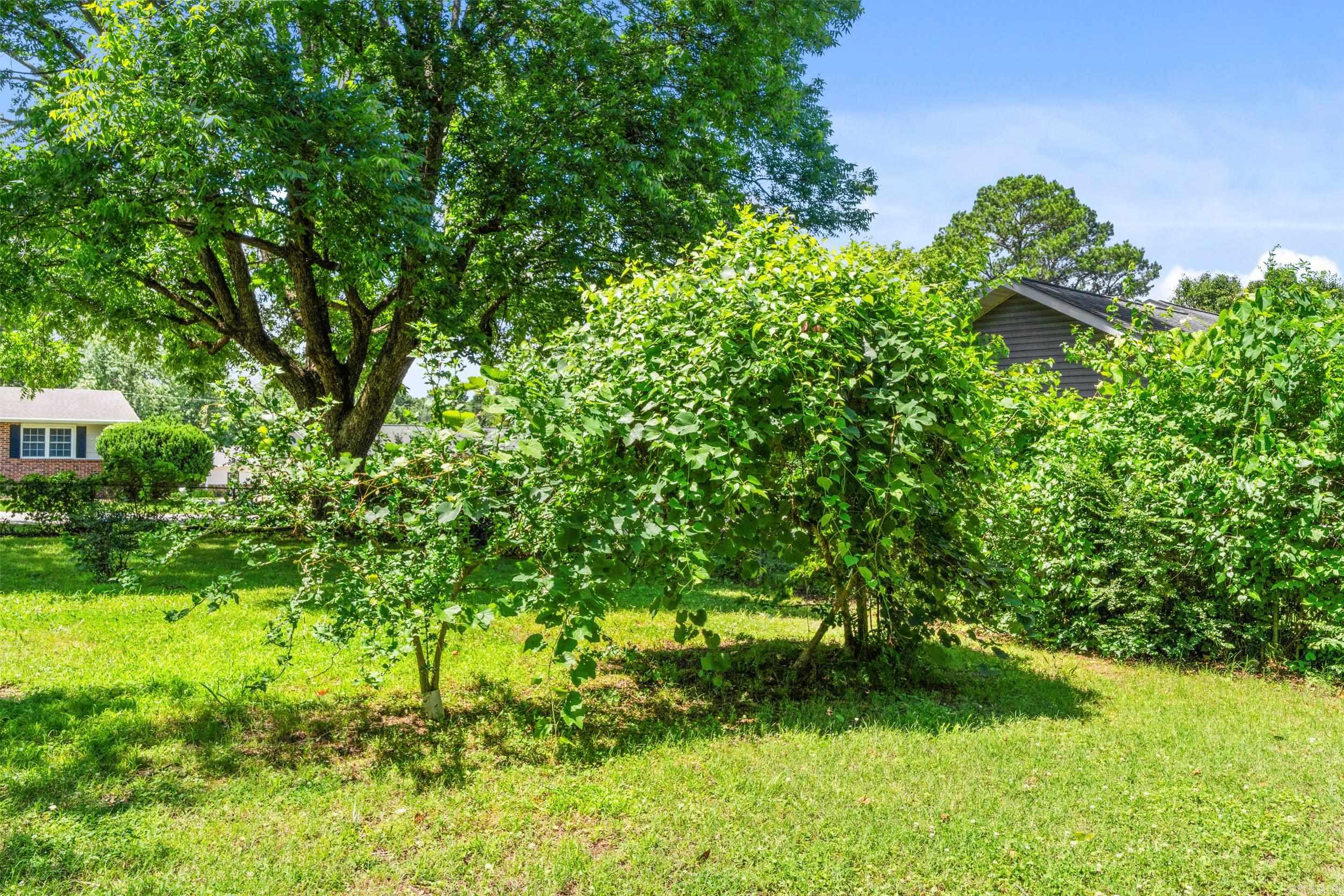 818 Locust Street Mountain Home, AR 72653