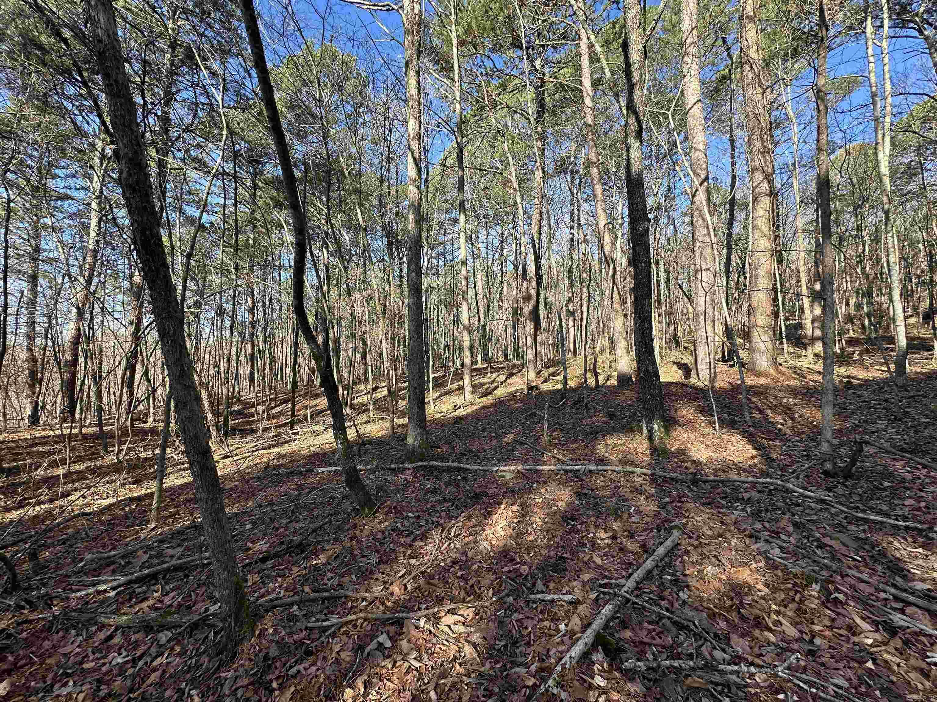 000 Bear Mountain  Prim, AR