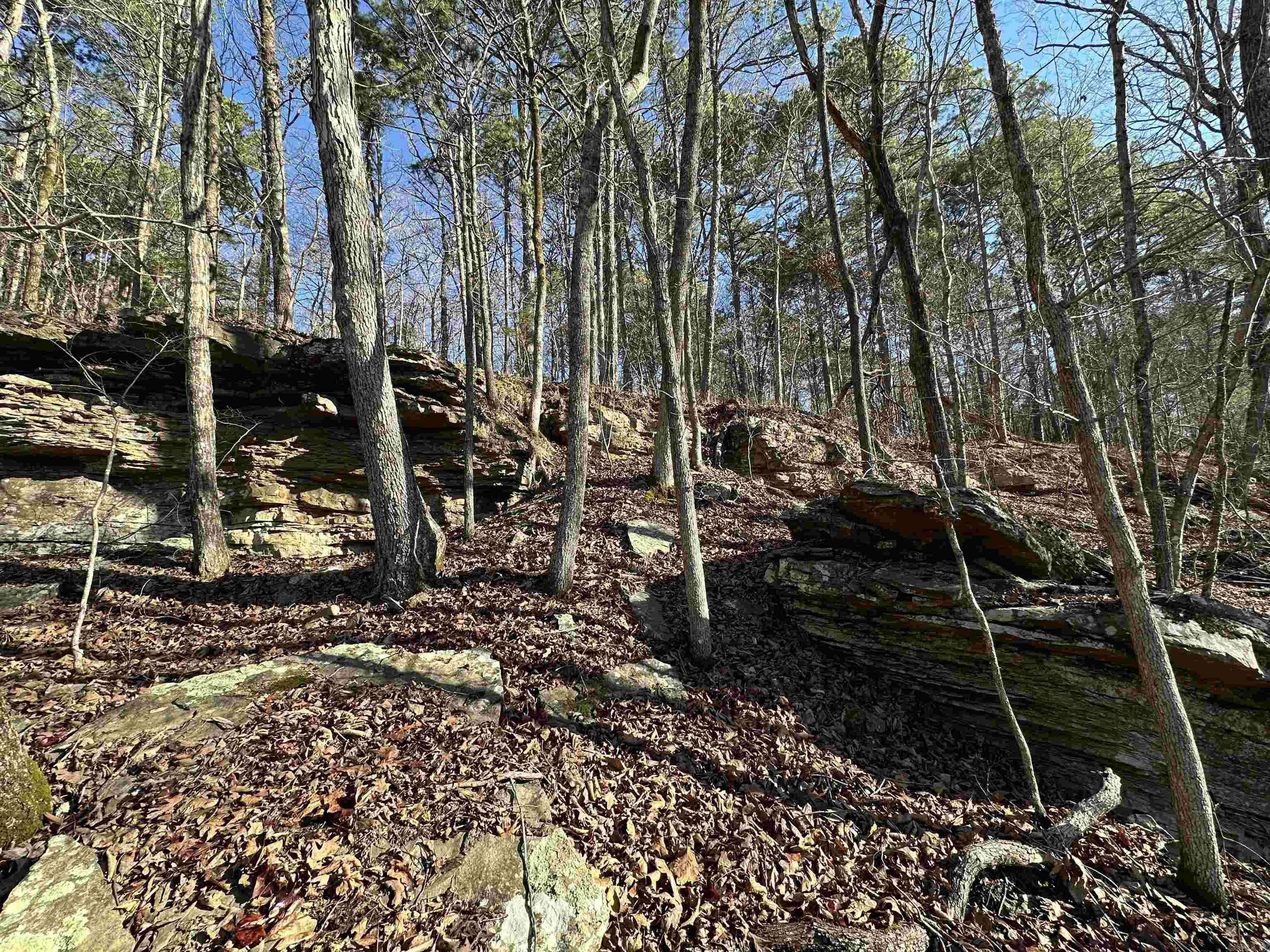 000 Bear Mountain  Prim, AR