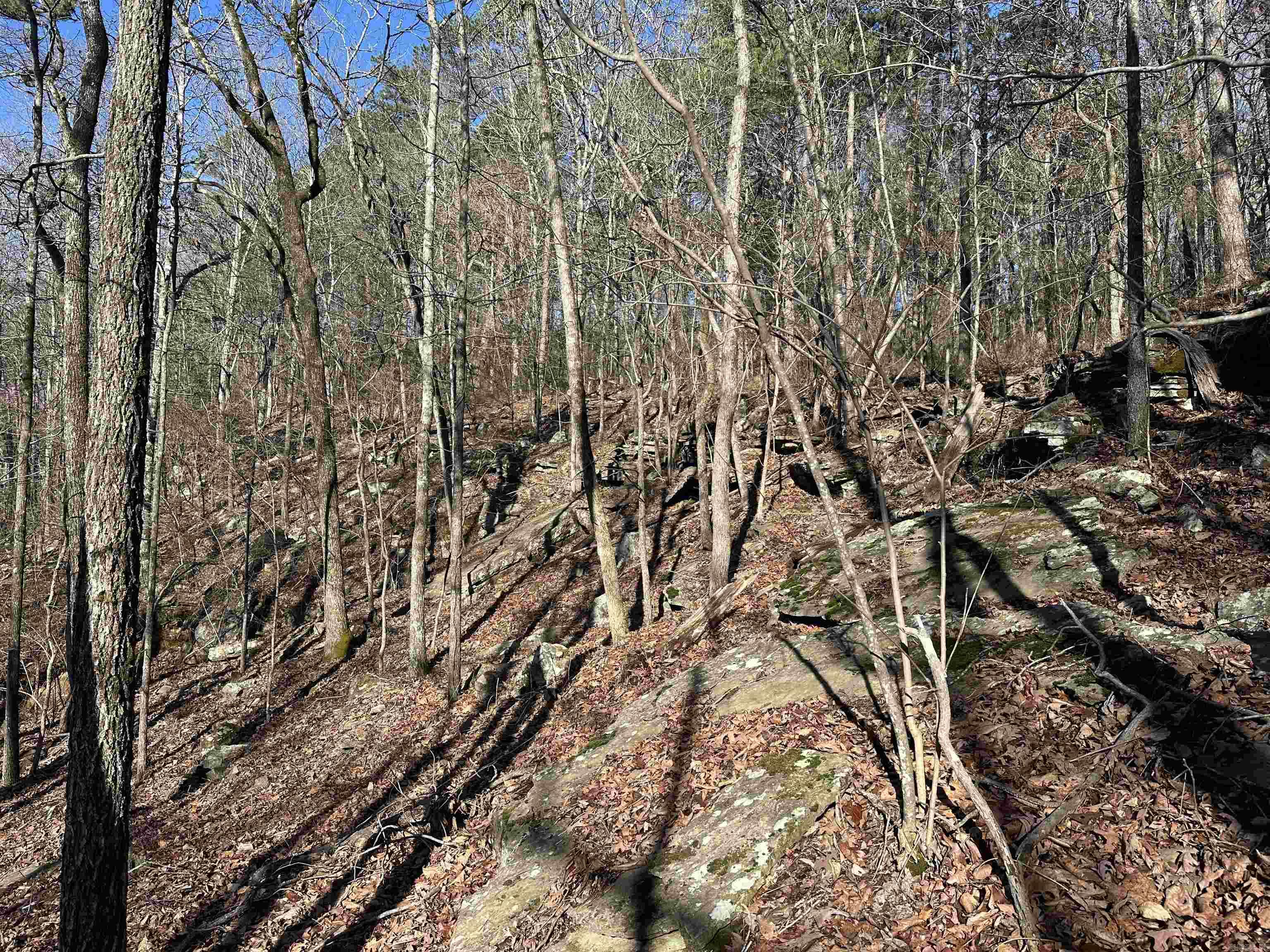 000 Bear Mountain  Prim, AR