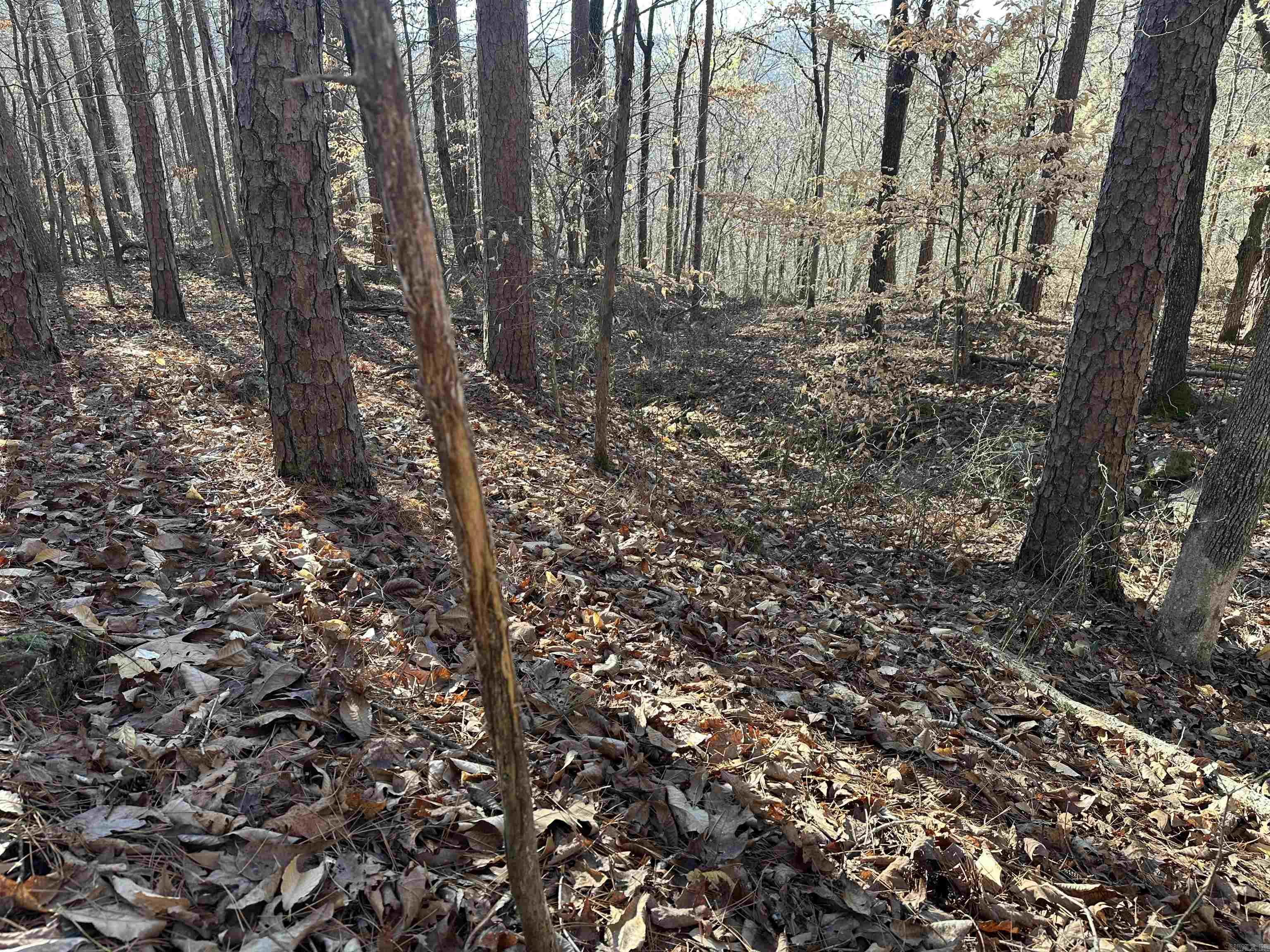 000 Bear Mountain  Prim, AR