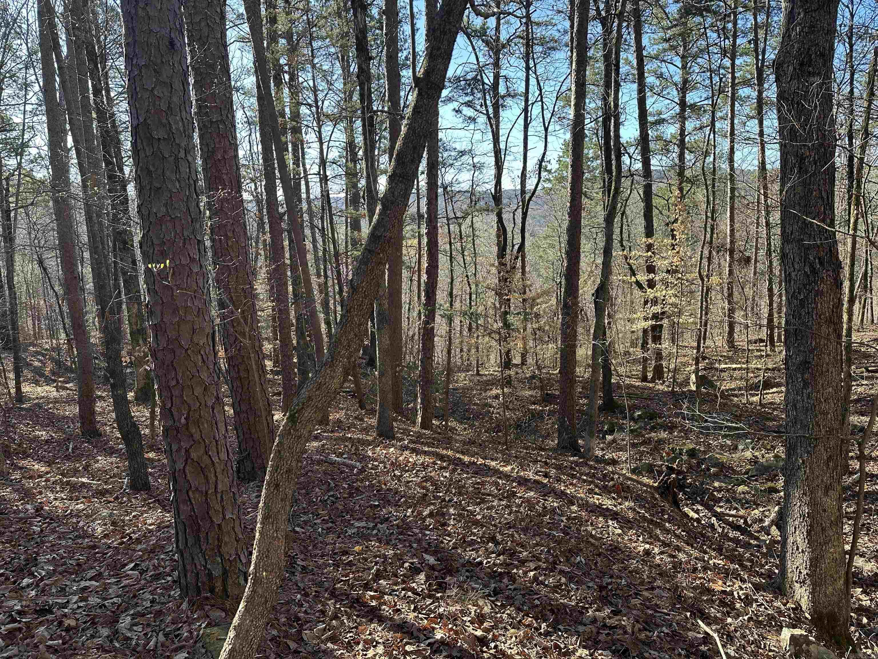 000 Bear Mountain  Prim, AR