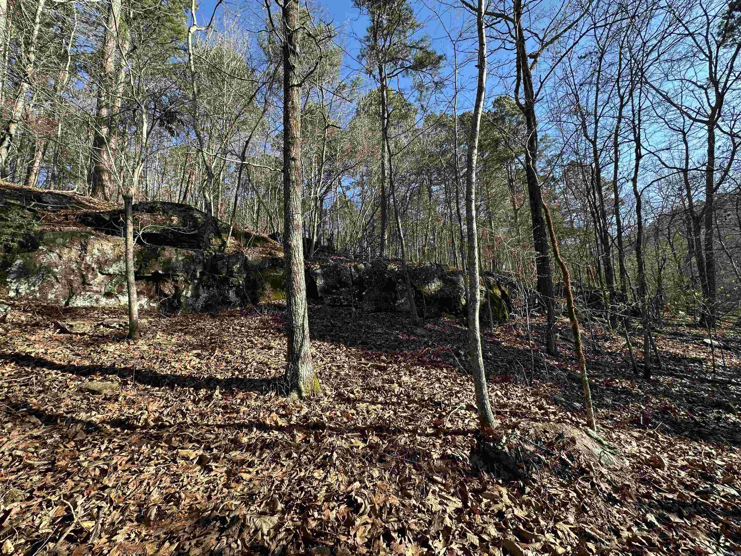 000 Bear Mountain  Prim, AR