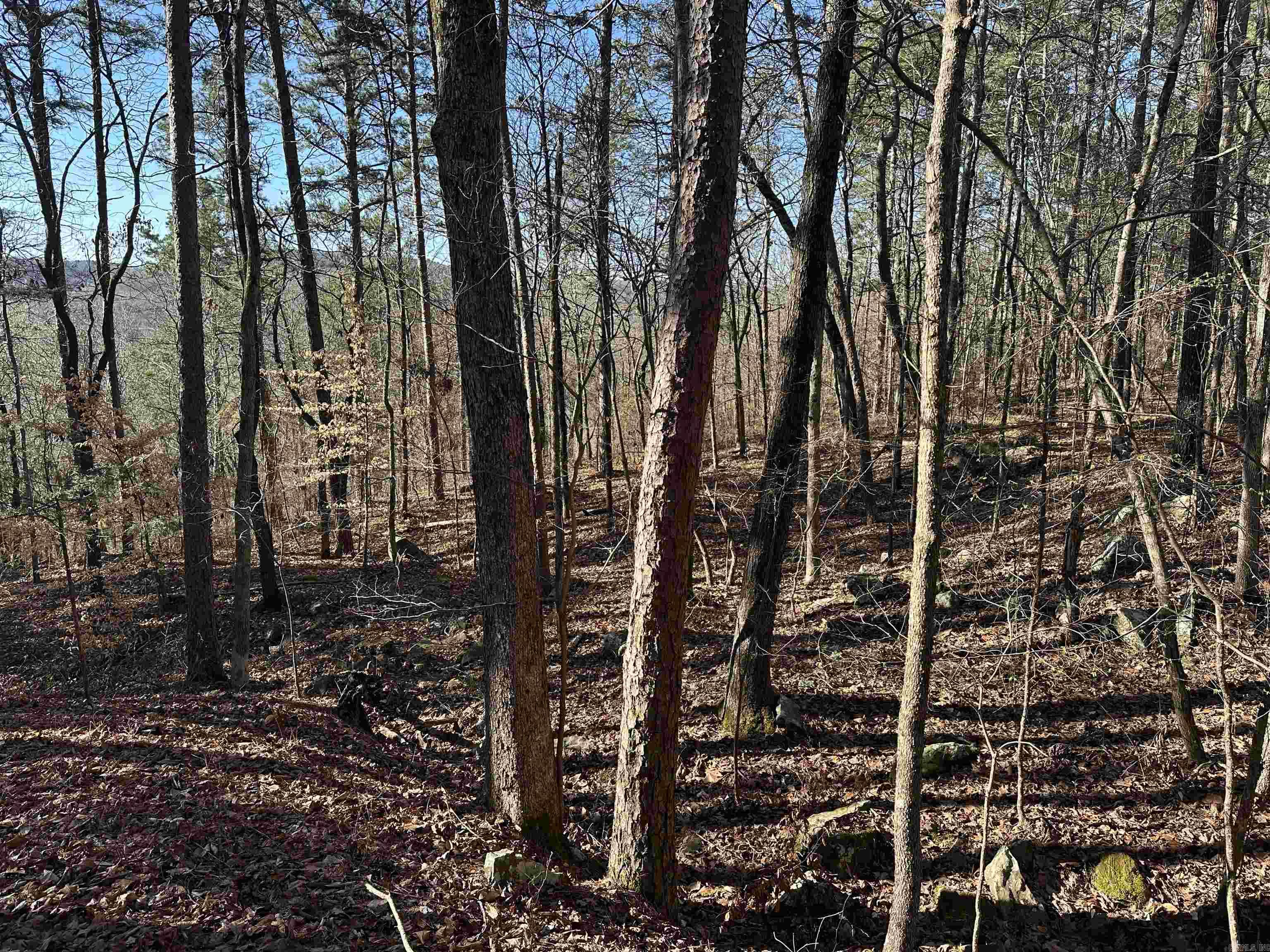 000 Bear Mountain  Prim, AR