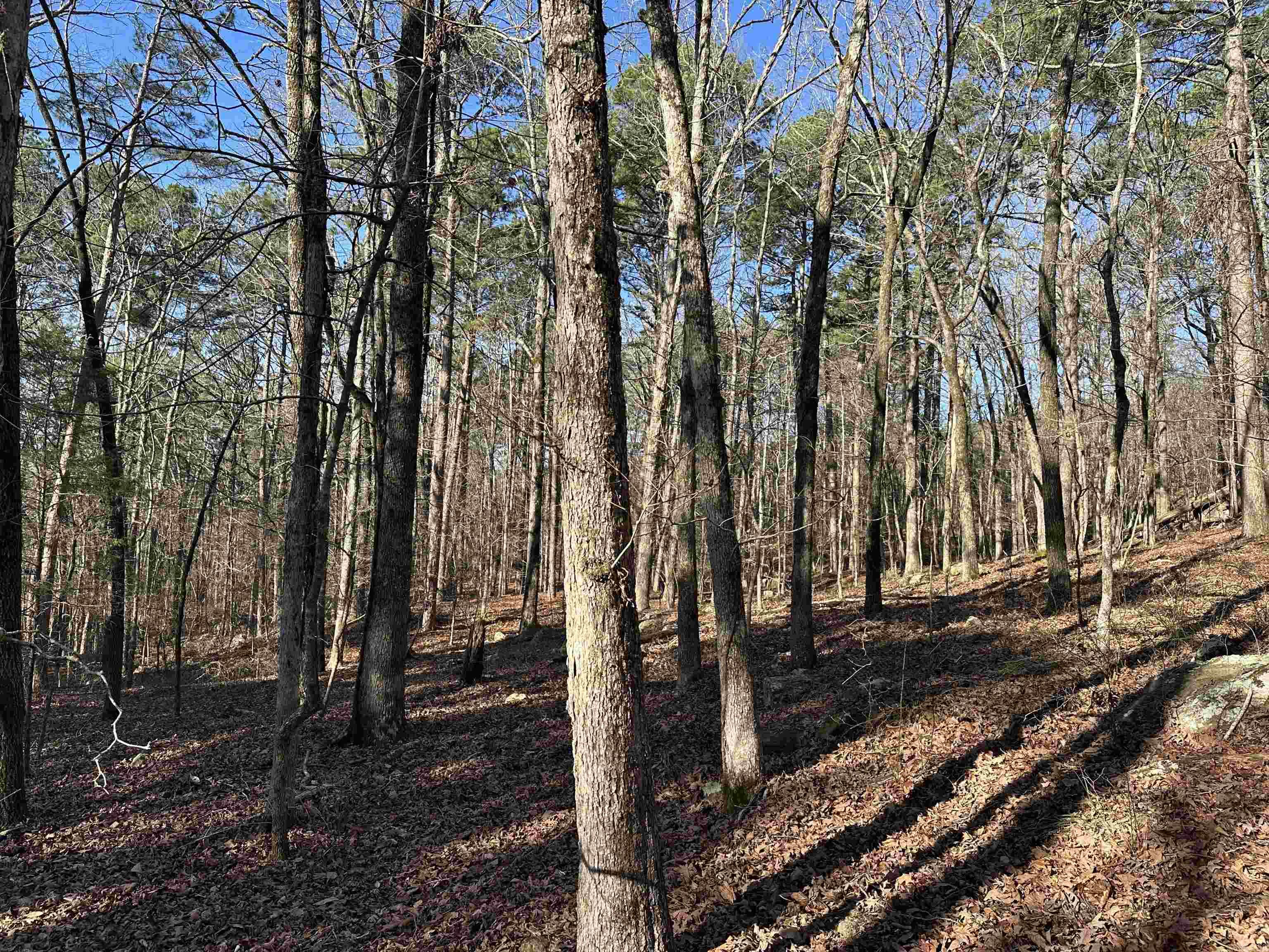 000 Bear Mountain  Prim, AR