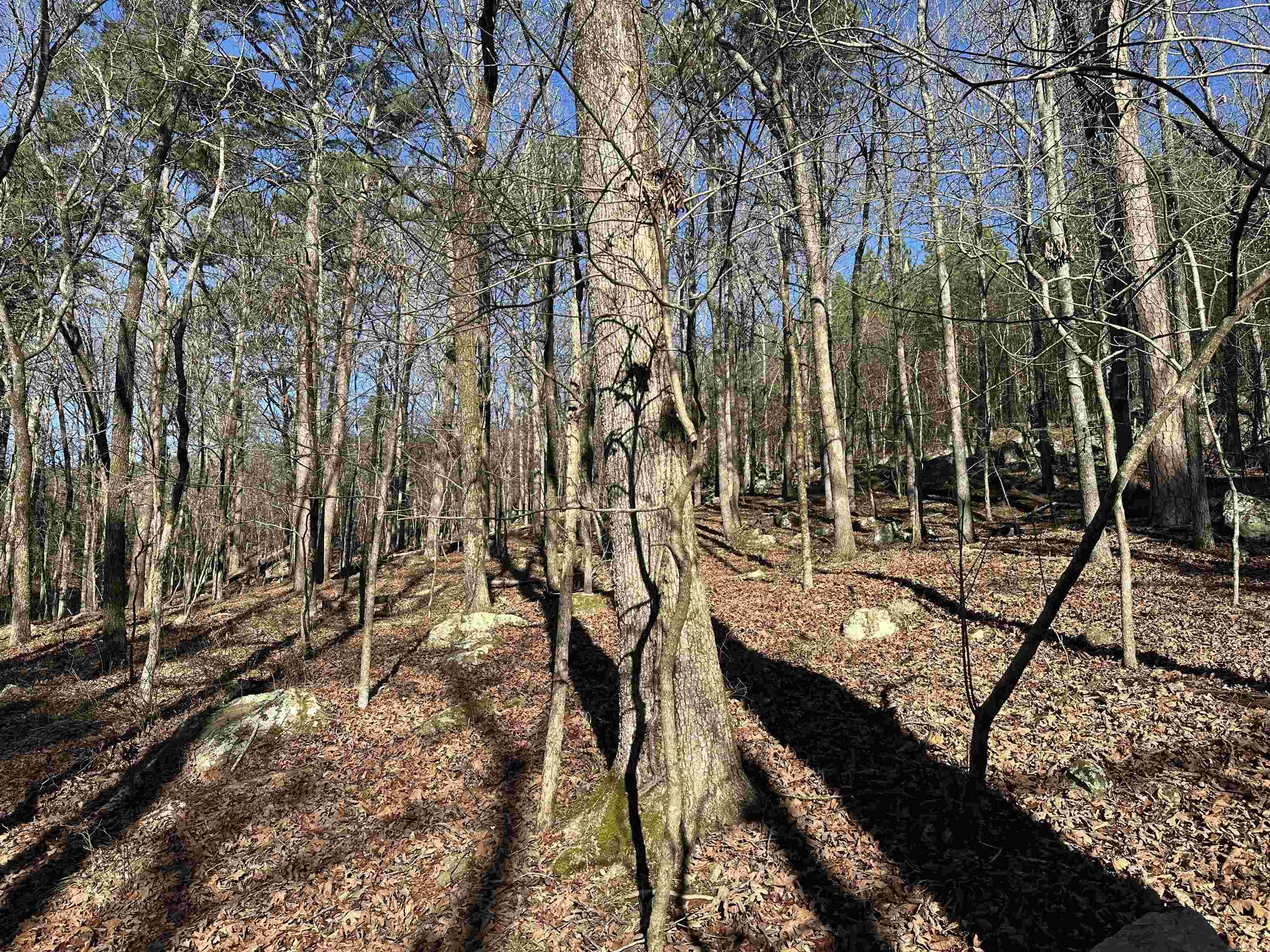 000 Bear Mountain  Prim, AR