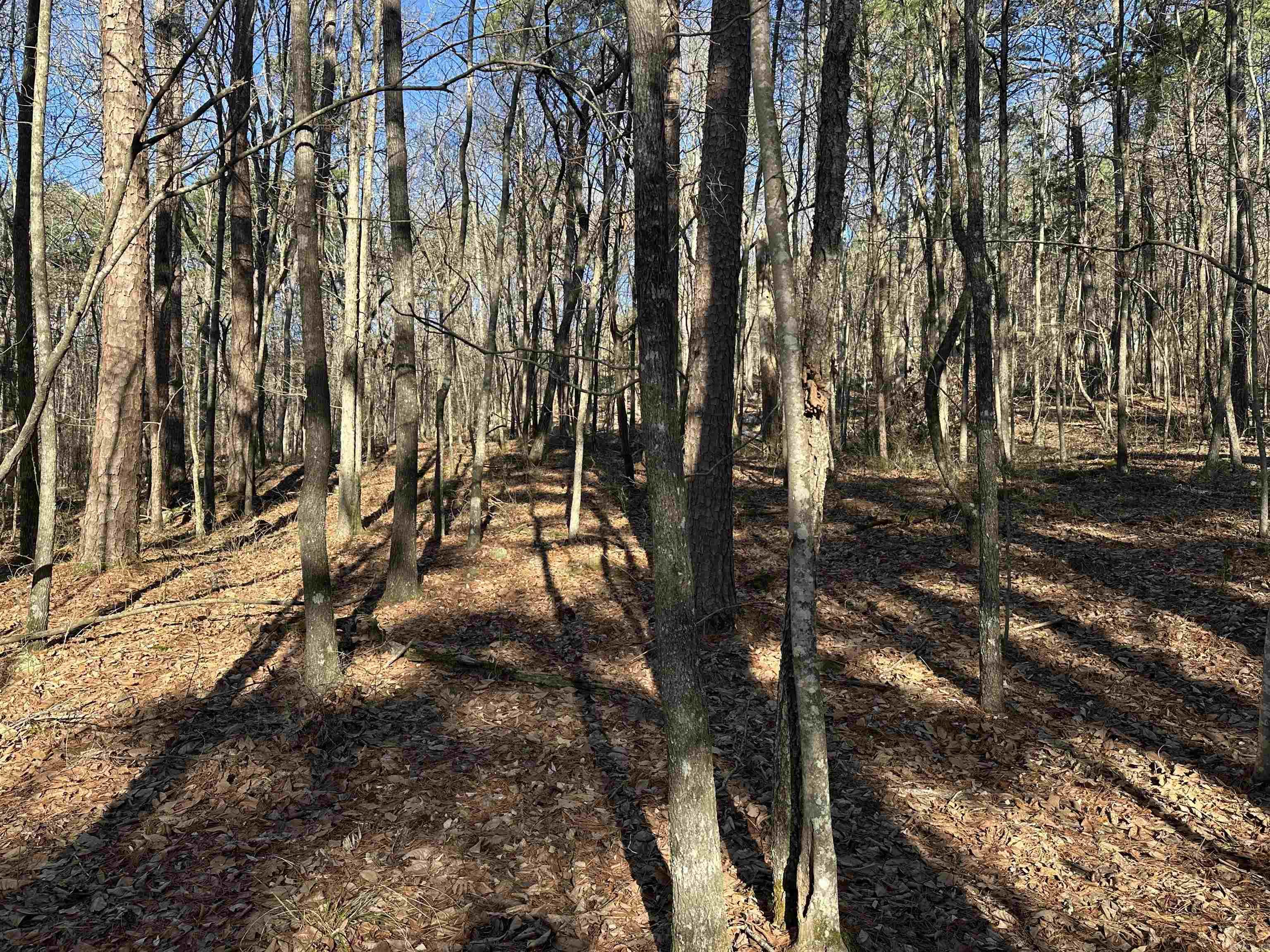 000 Bear Mountain  Prim, AR