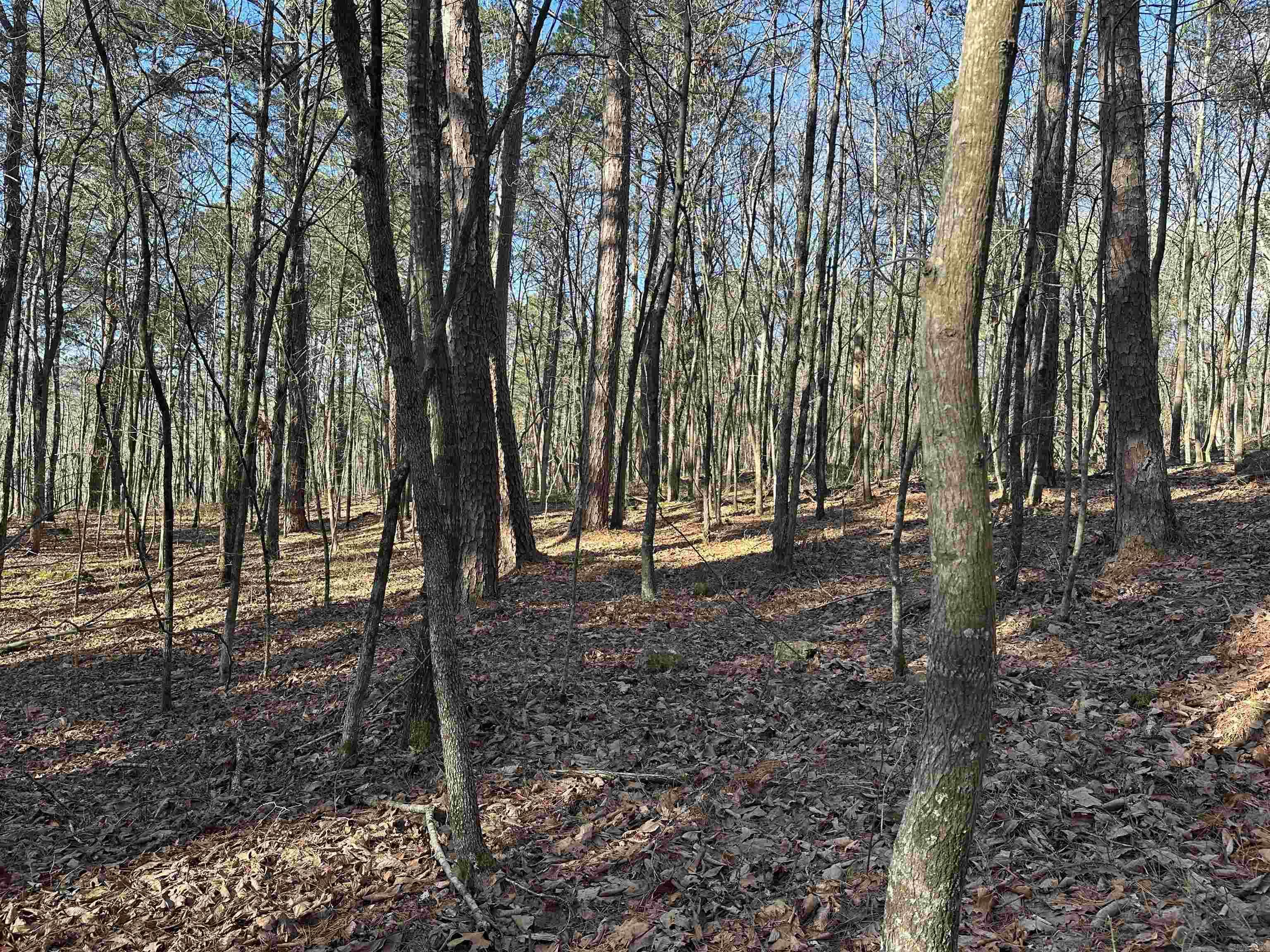 000 Bear Mountain  Prim, AR