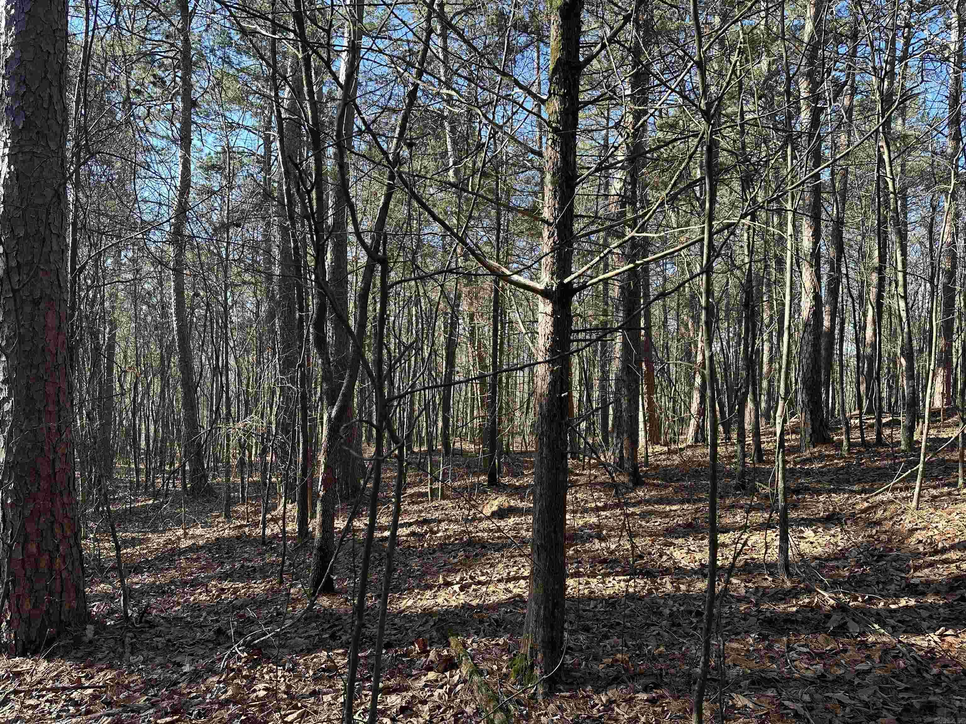 000 Bear Mountain  Prim, AR