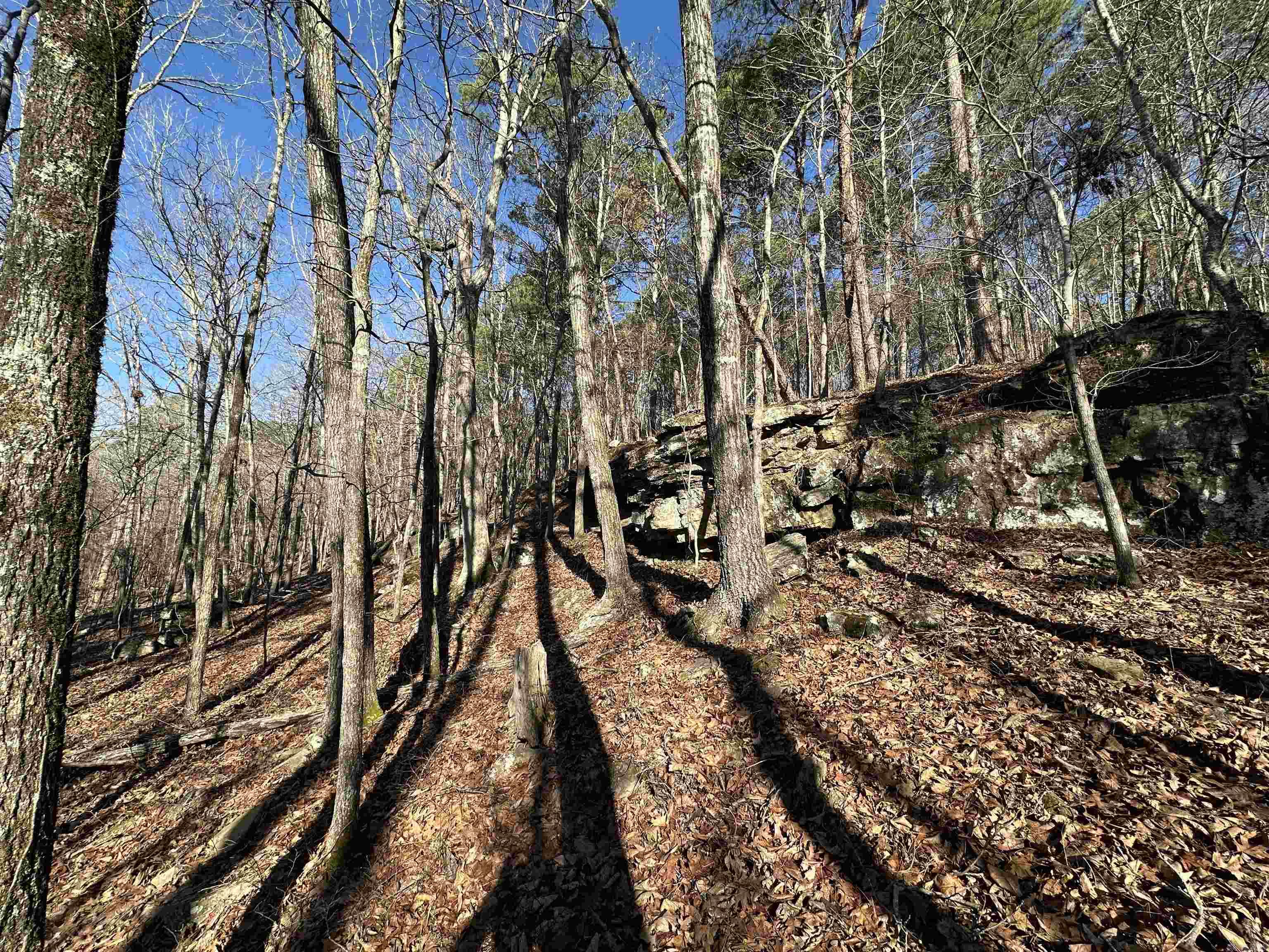 000 Bear Mountain  Prim, AR