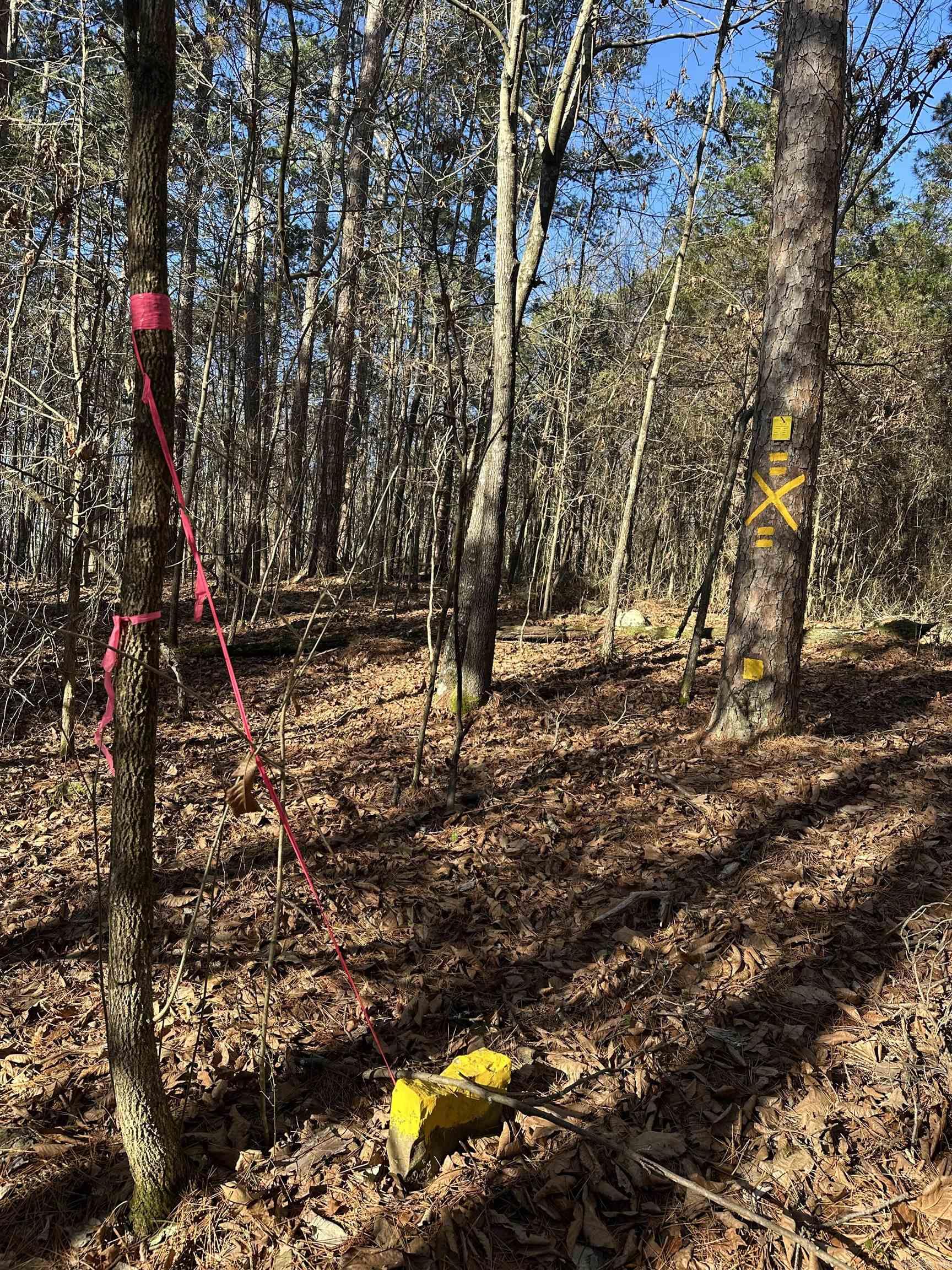 000 Bear Mountain  Prim, AR