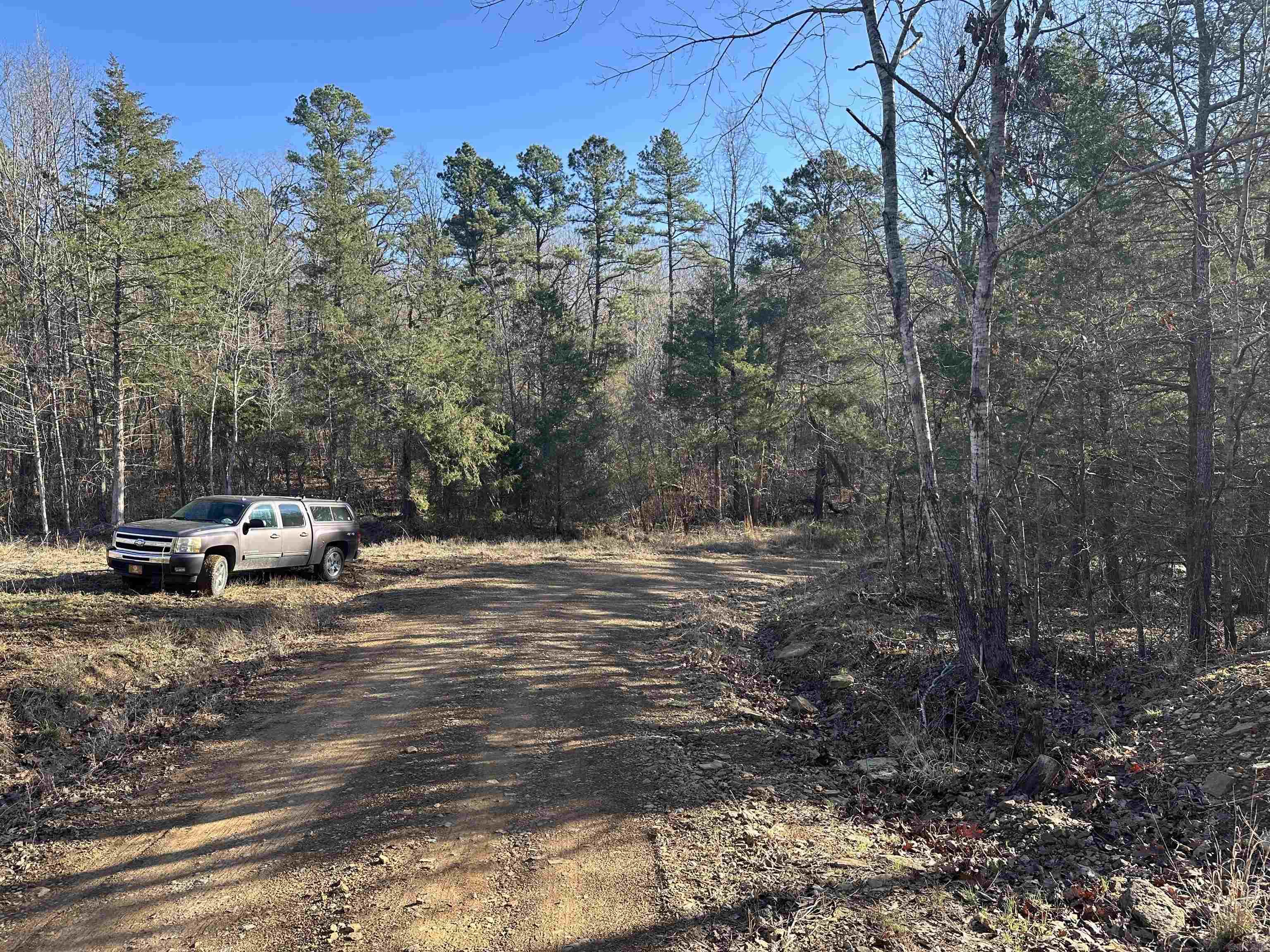 000 Bear Mountain  Prim, AR