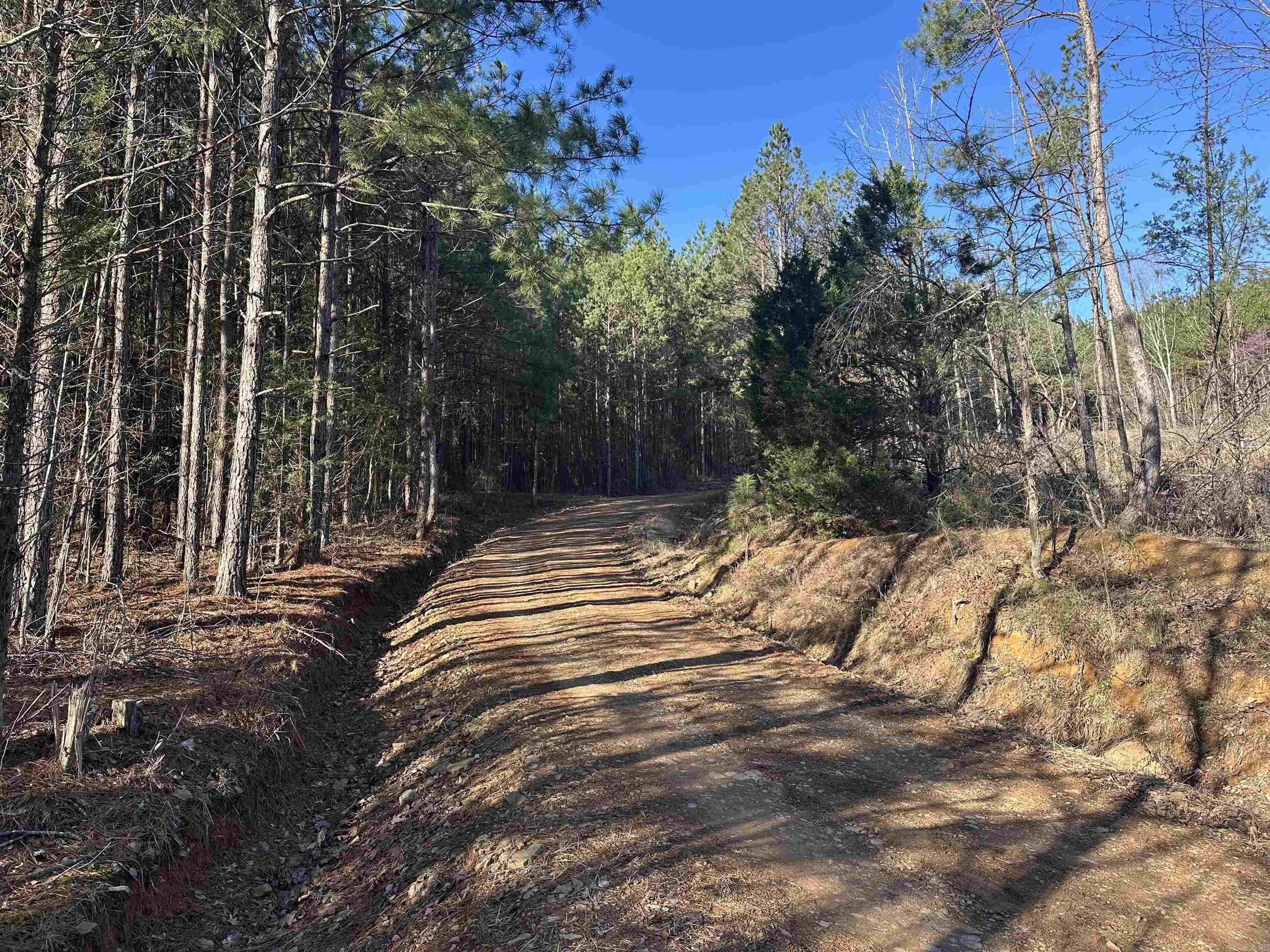 000 Bear Mountain  Prim, AR