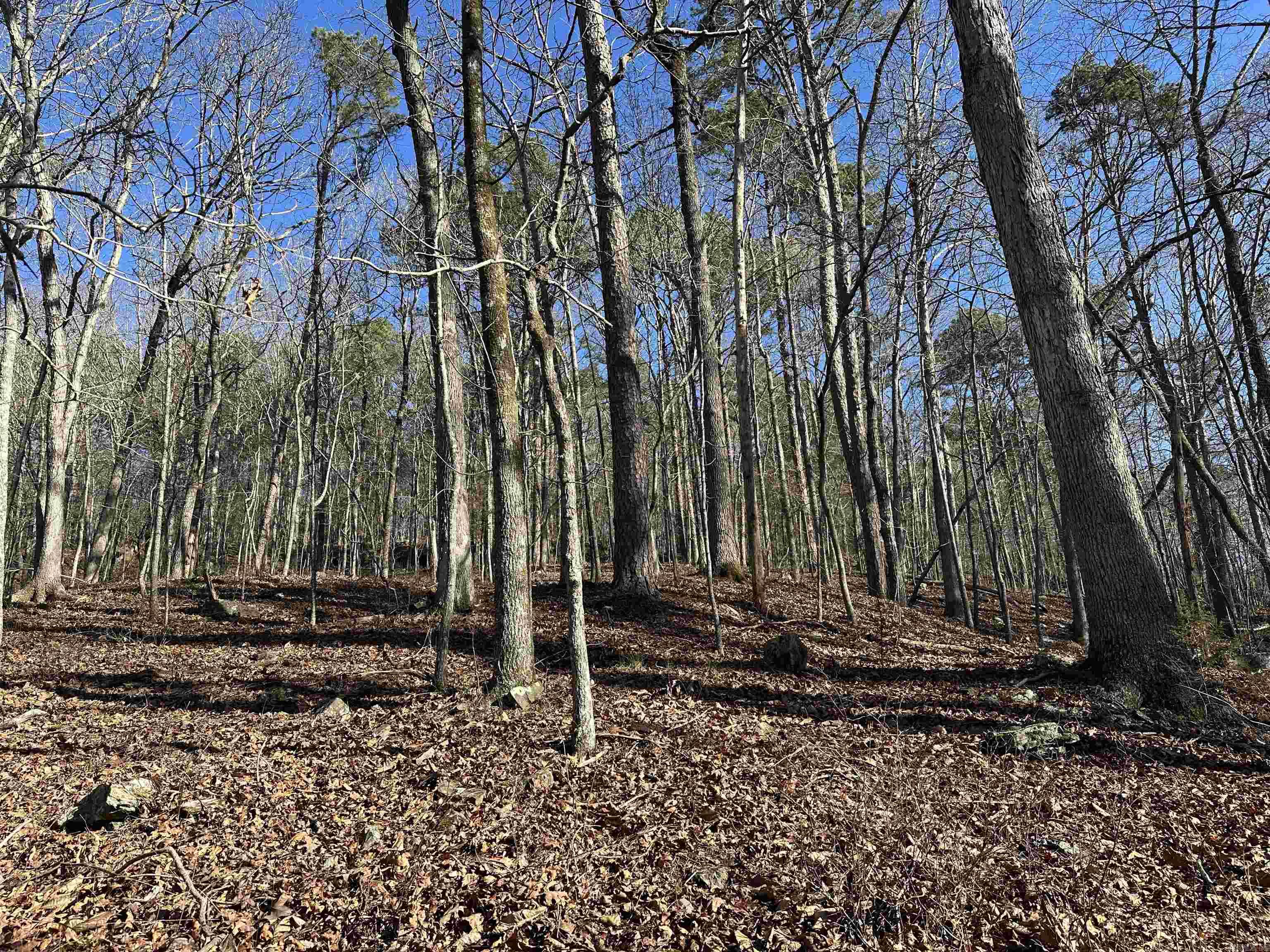 000 Bear Mountain  Prim, AR