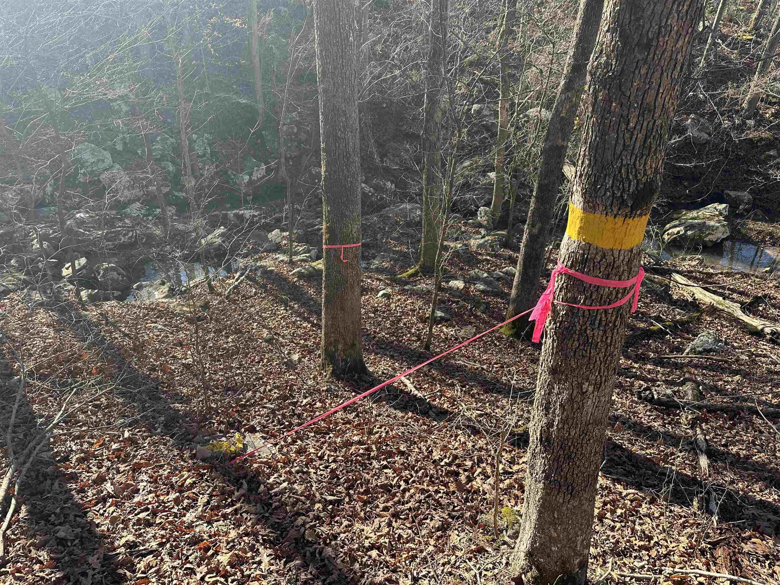 000 Bear Mountain  Prim, AR