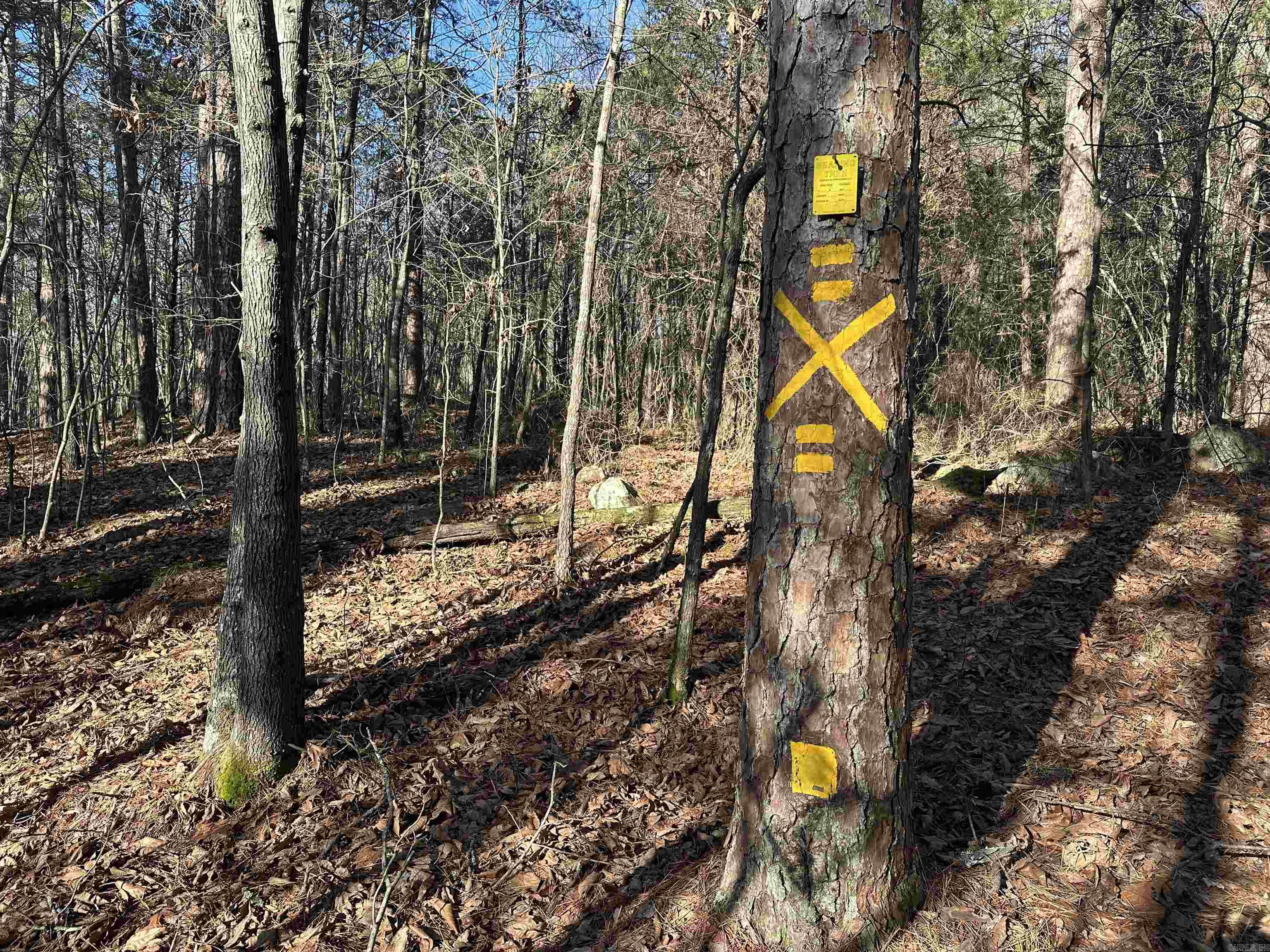 000 Bear Mountain  Prim, AR