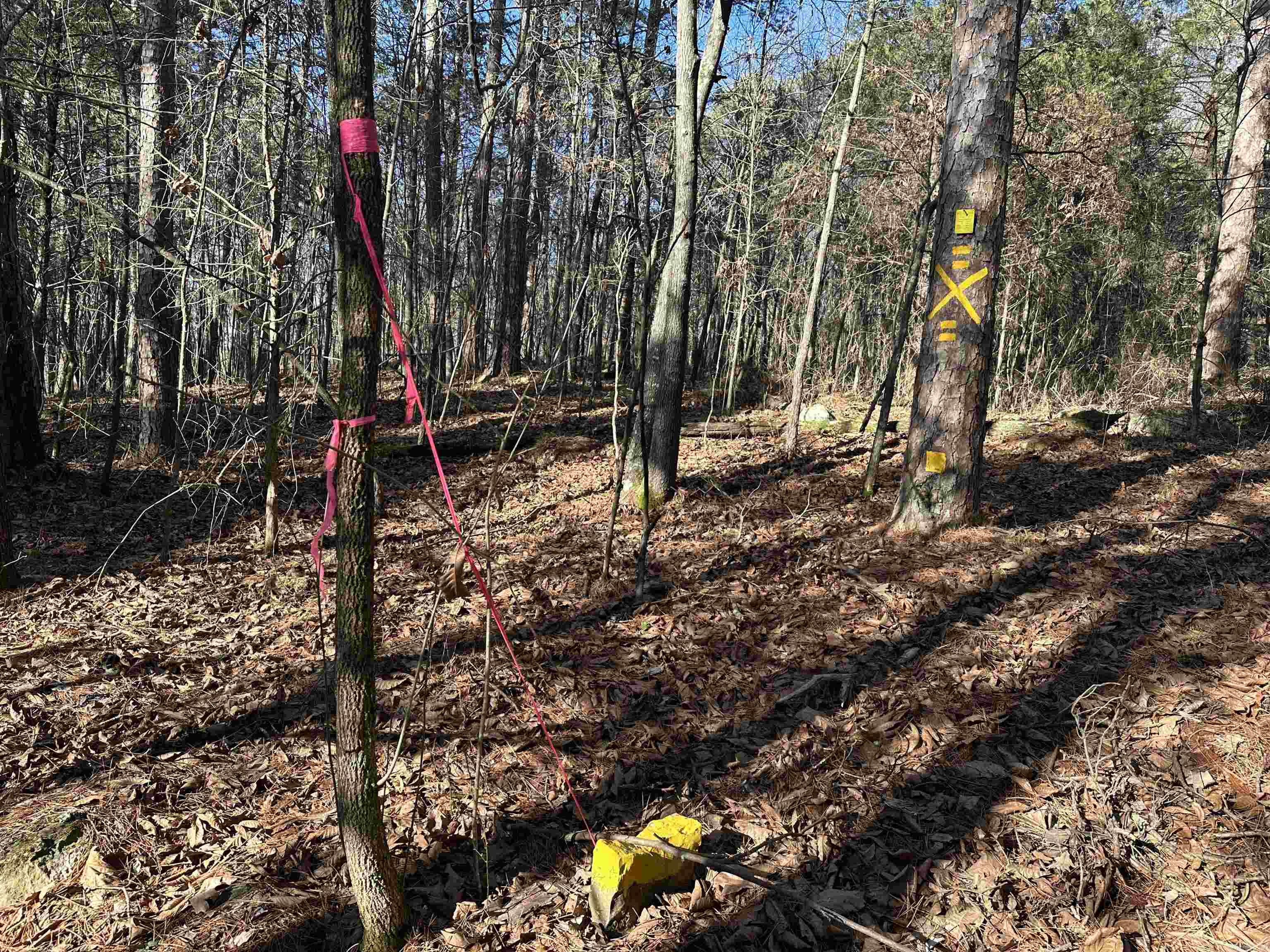 000 Bear Mountain  Prim, AR