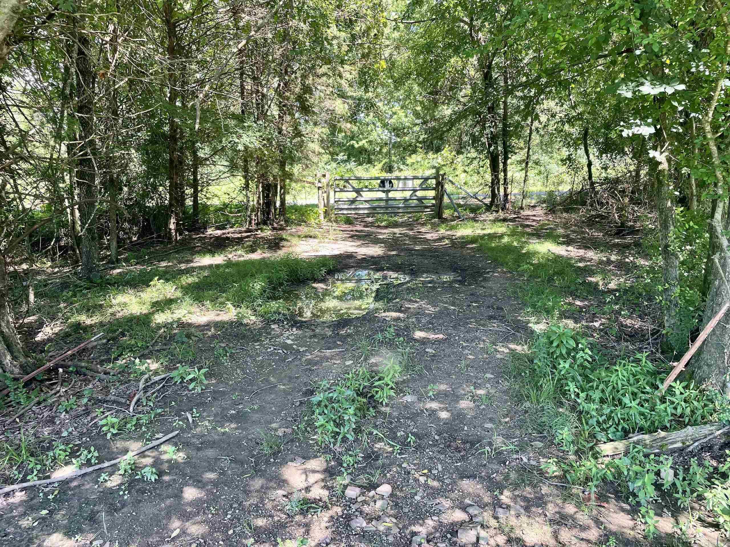 1250 CR 2651  Lamar, AR