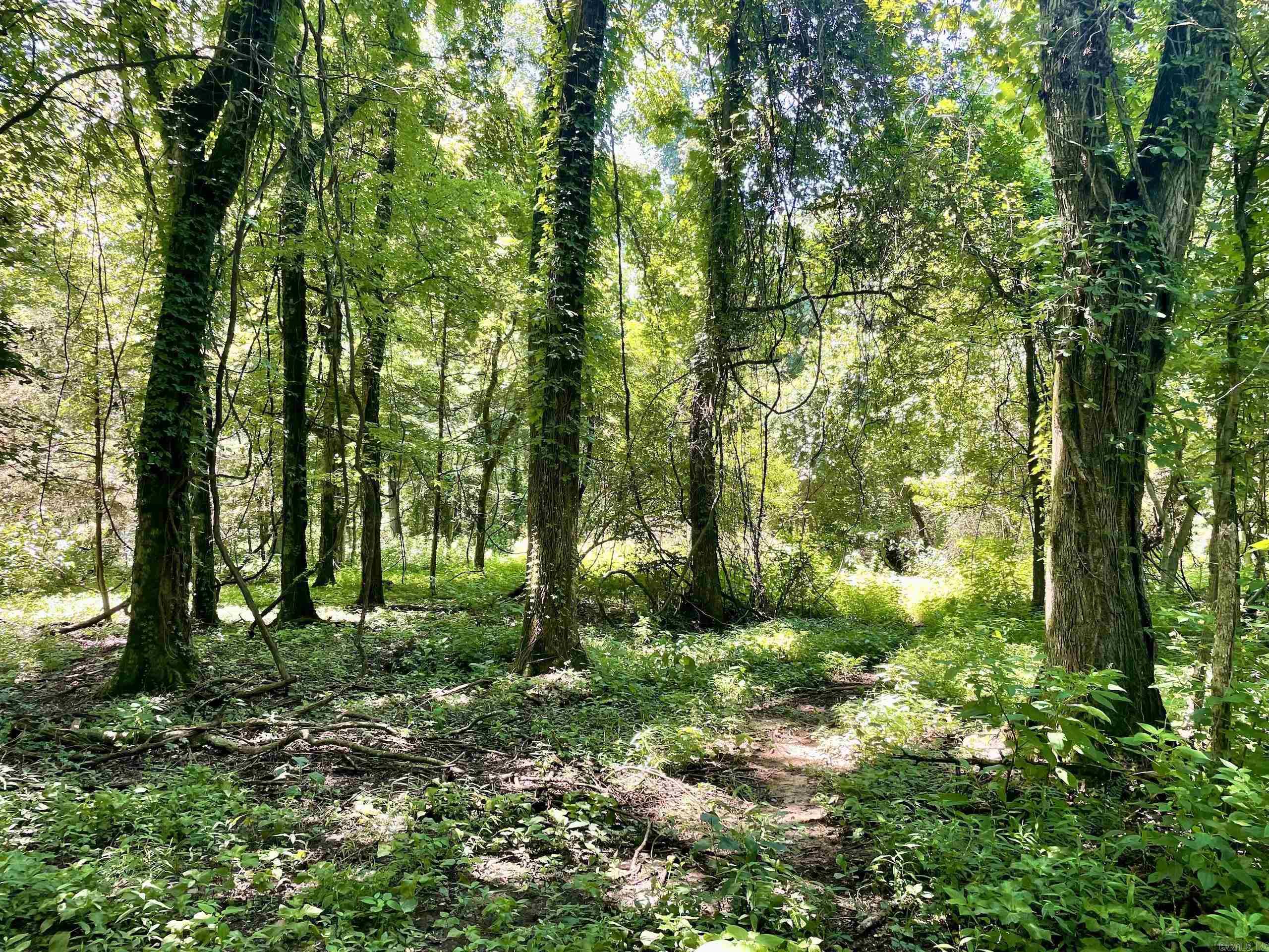 1250 CR 2651  Lamar, AR