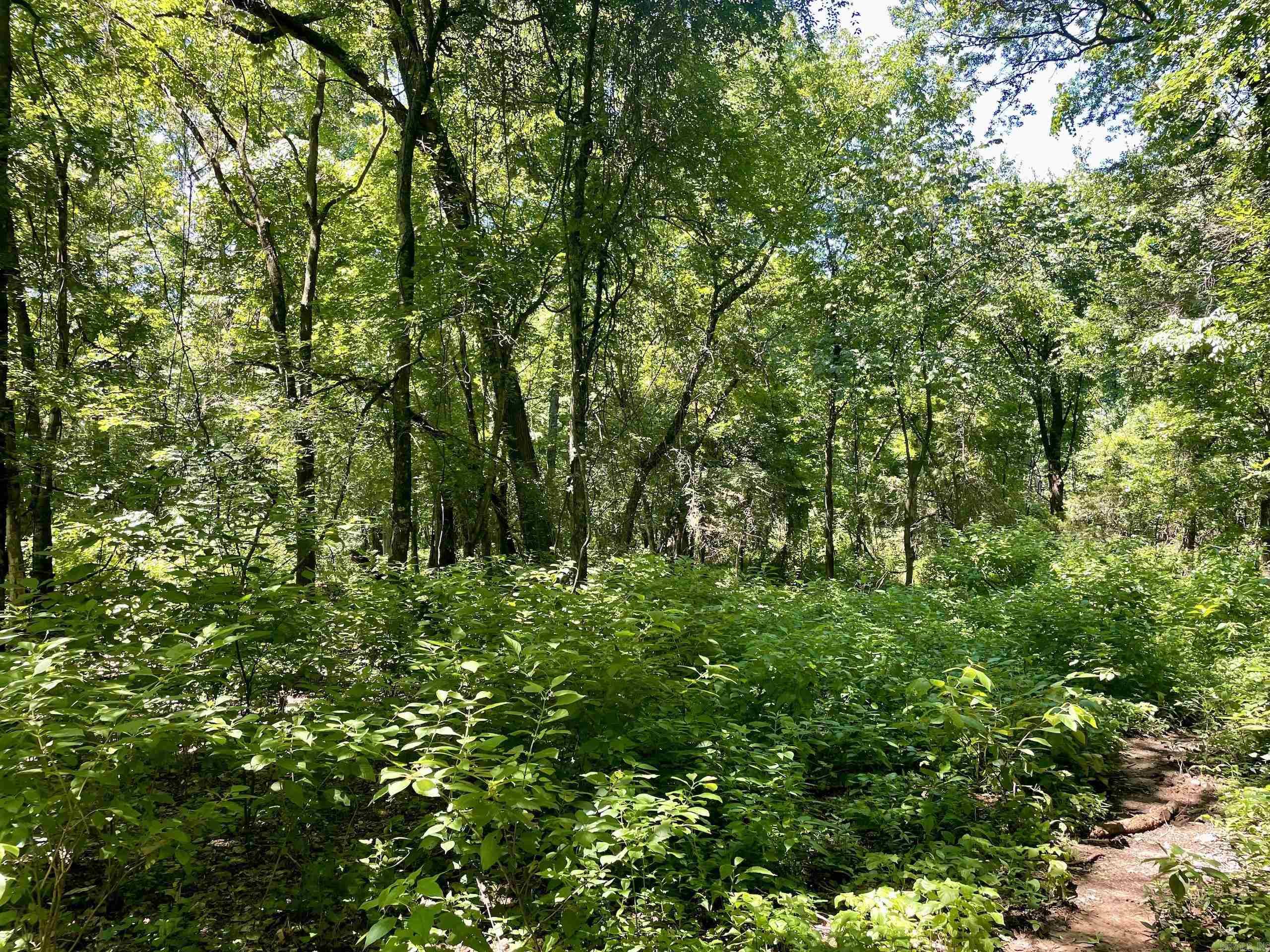 1250 CR 2651  Lamar, AR