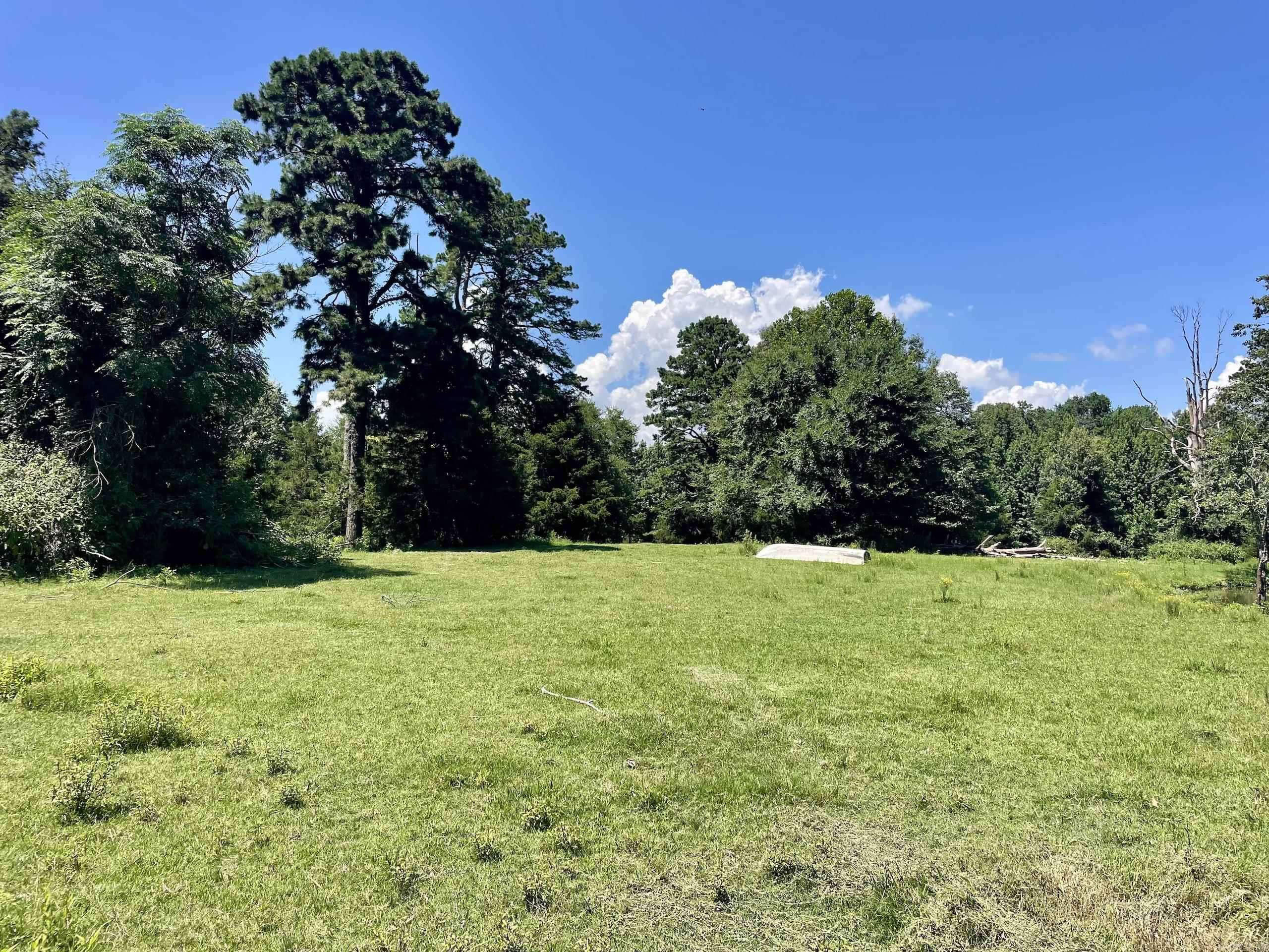 1250 CR 2651  Lamar, AR