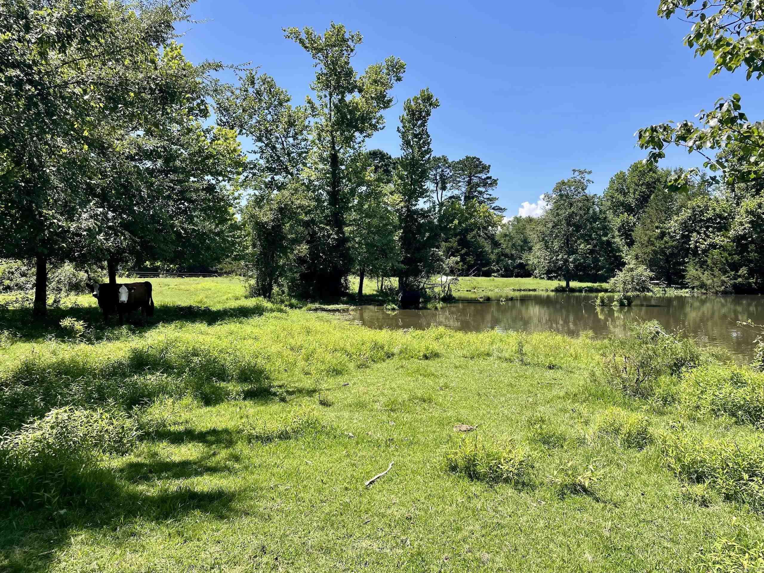 1250 CR 2651  Lamar, AR