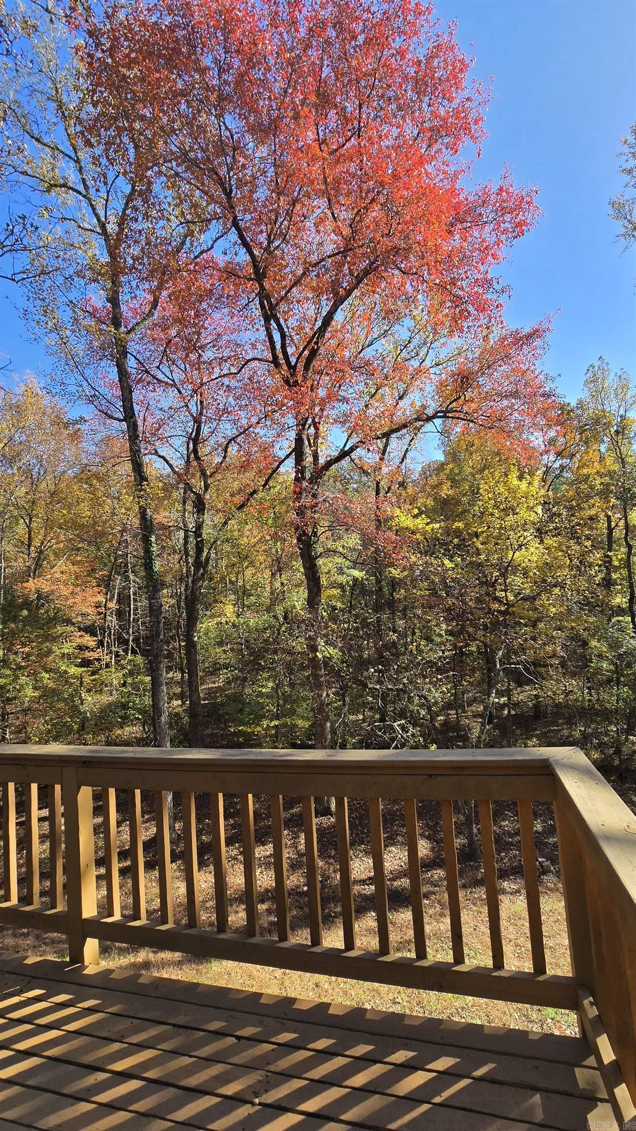 5225 Burnt Ridge  Shirley, AR